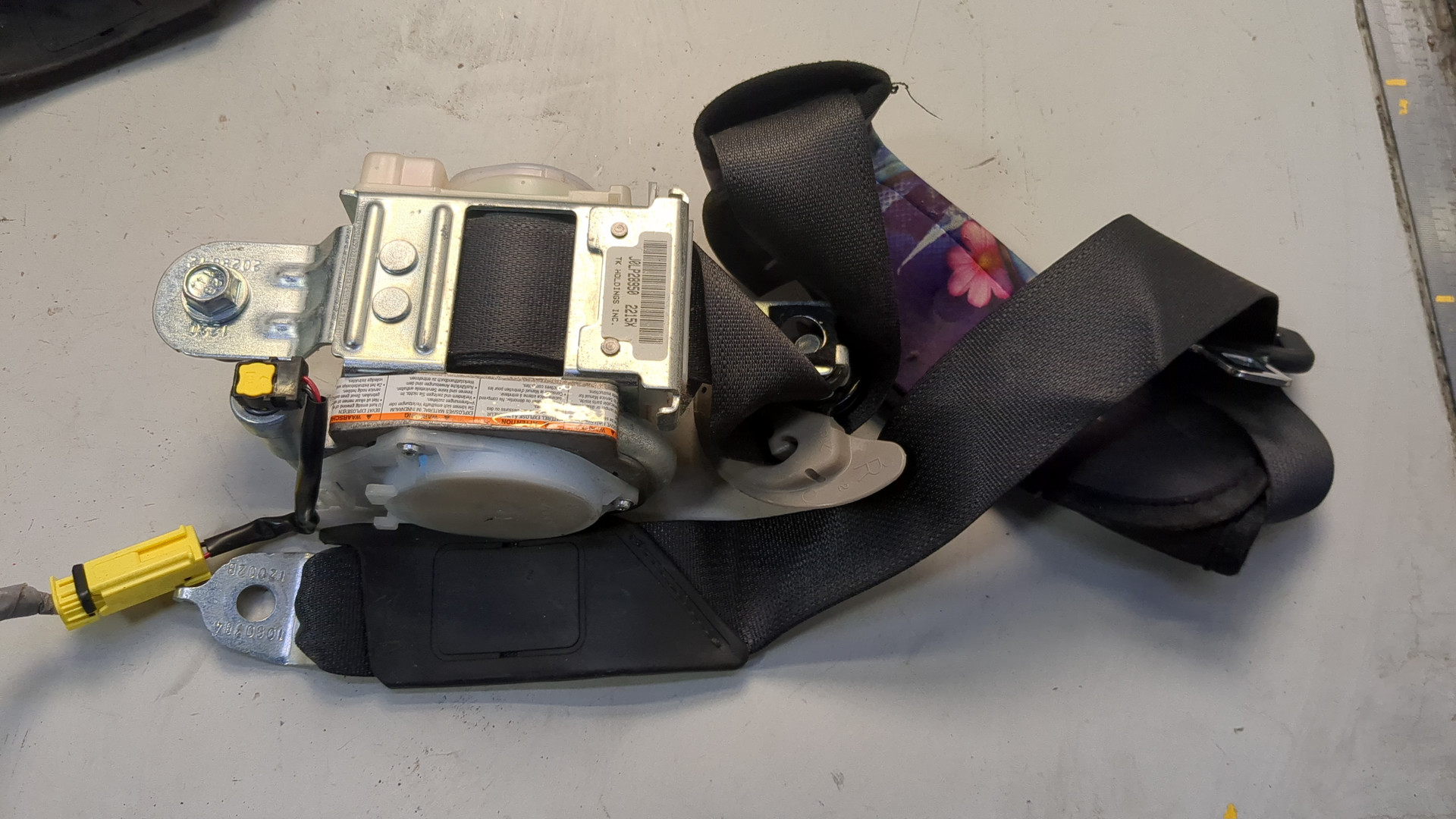 Ремень безопасности