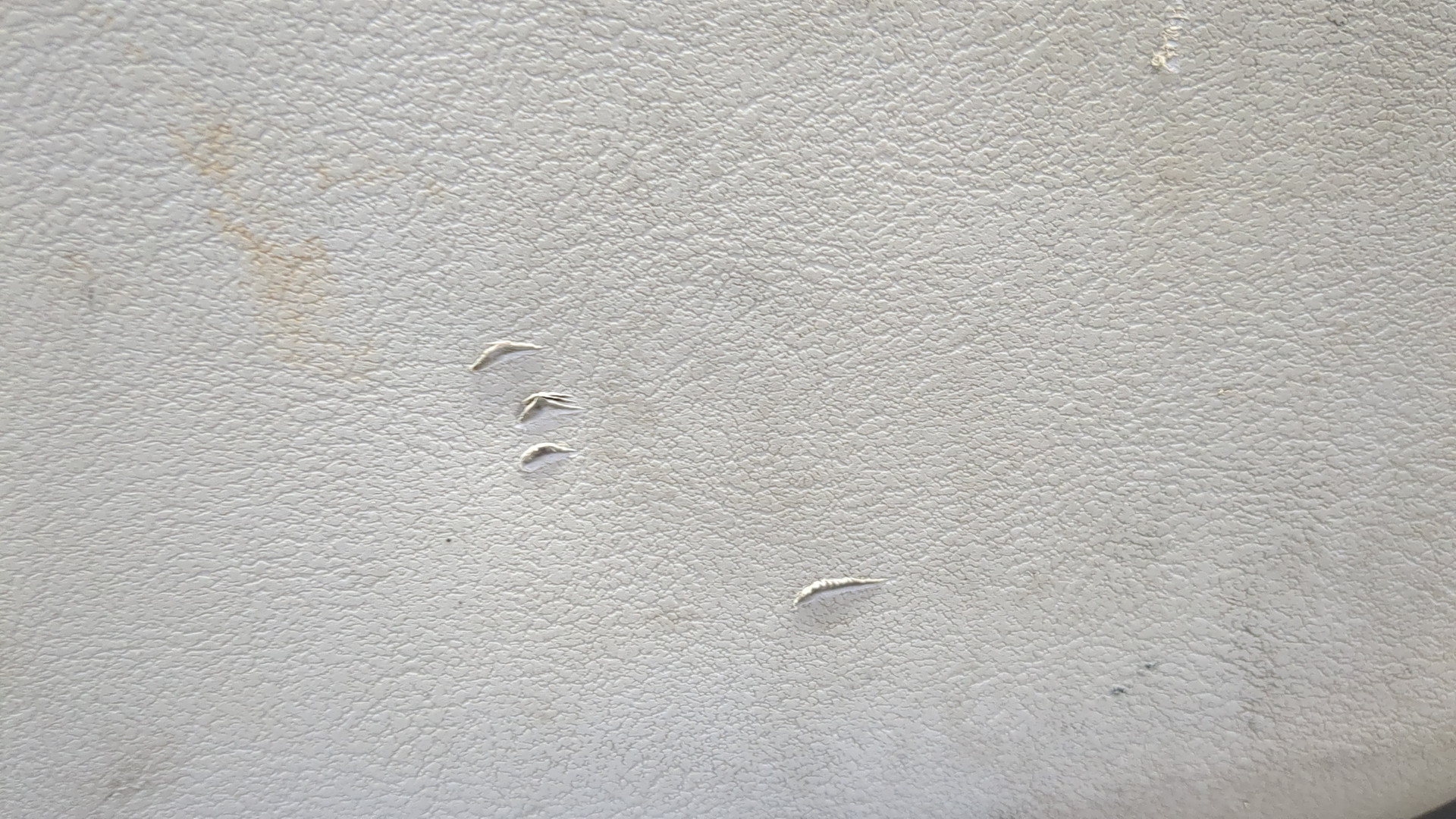 Обшивка двери передней левой