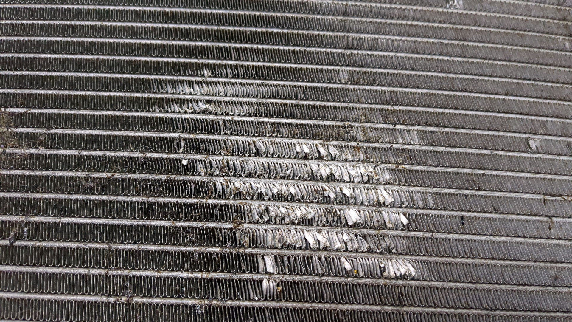 Радиатор охлаждения двигателя основной