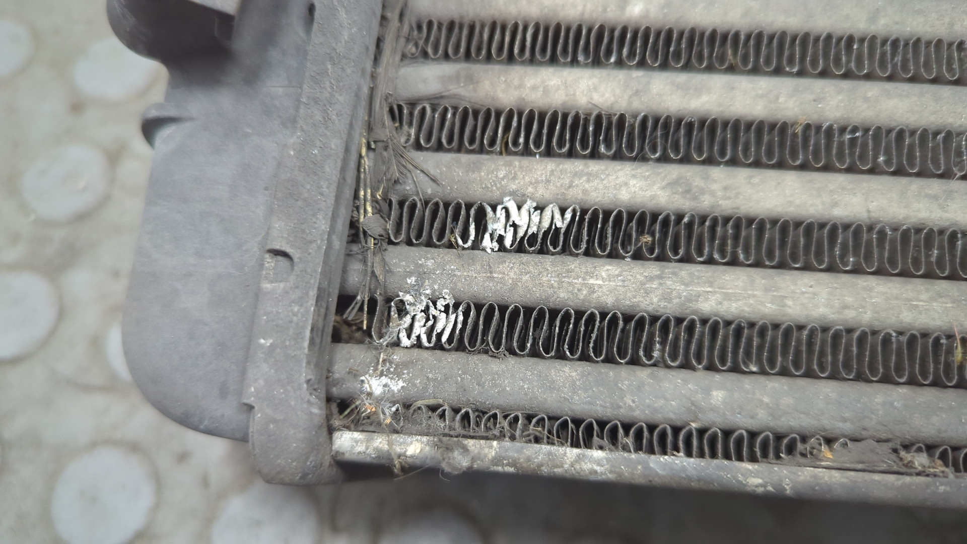 Интеркулер