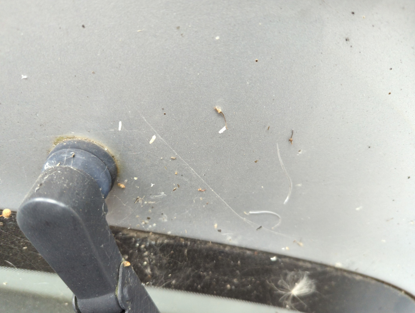 Дверь багажника