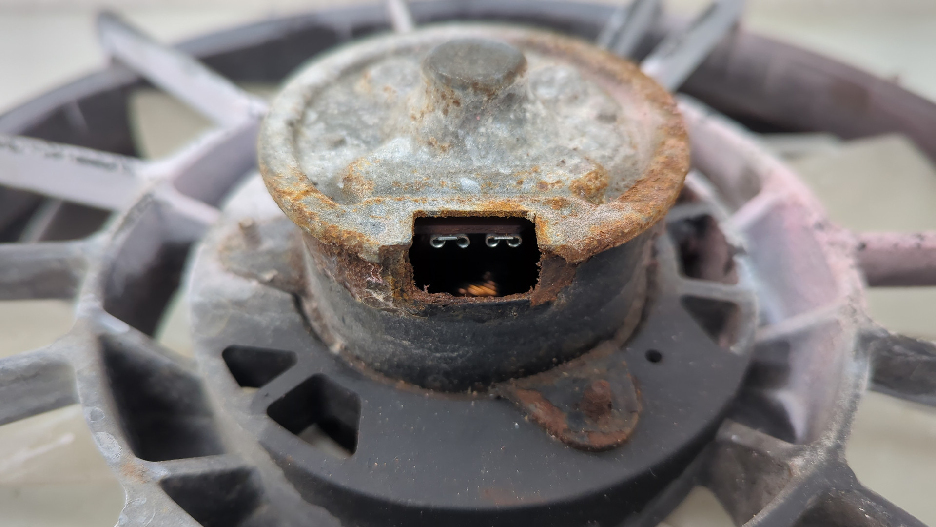 Вентилятор радиатора