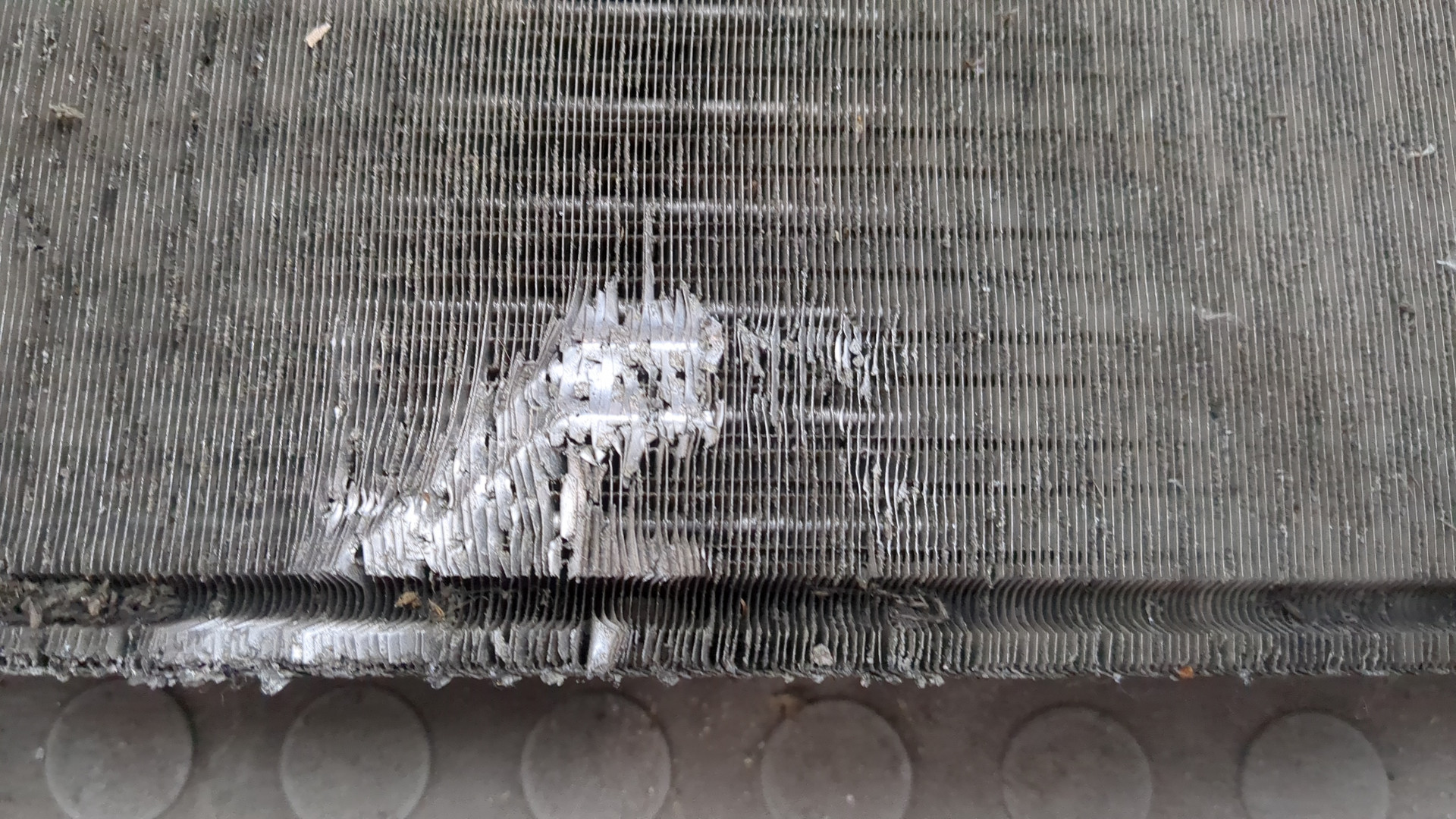 Радиатор охлаждения двигателя основной