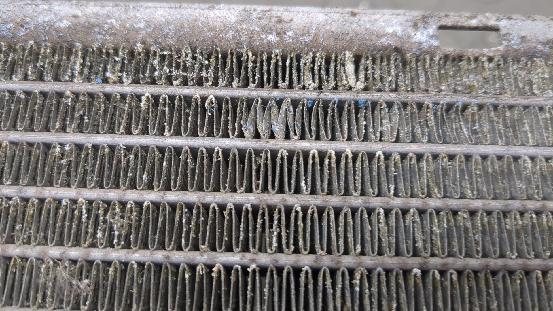 Радиатор охлаждения двигателя основной