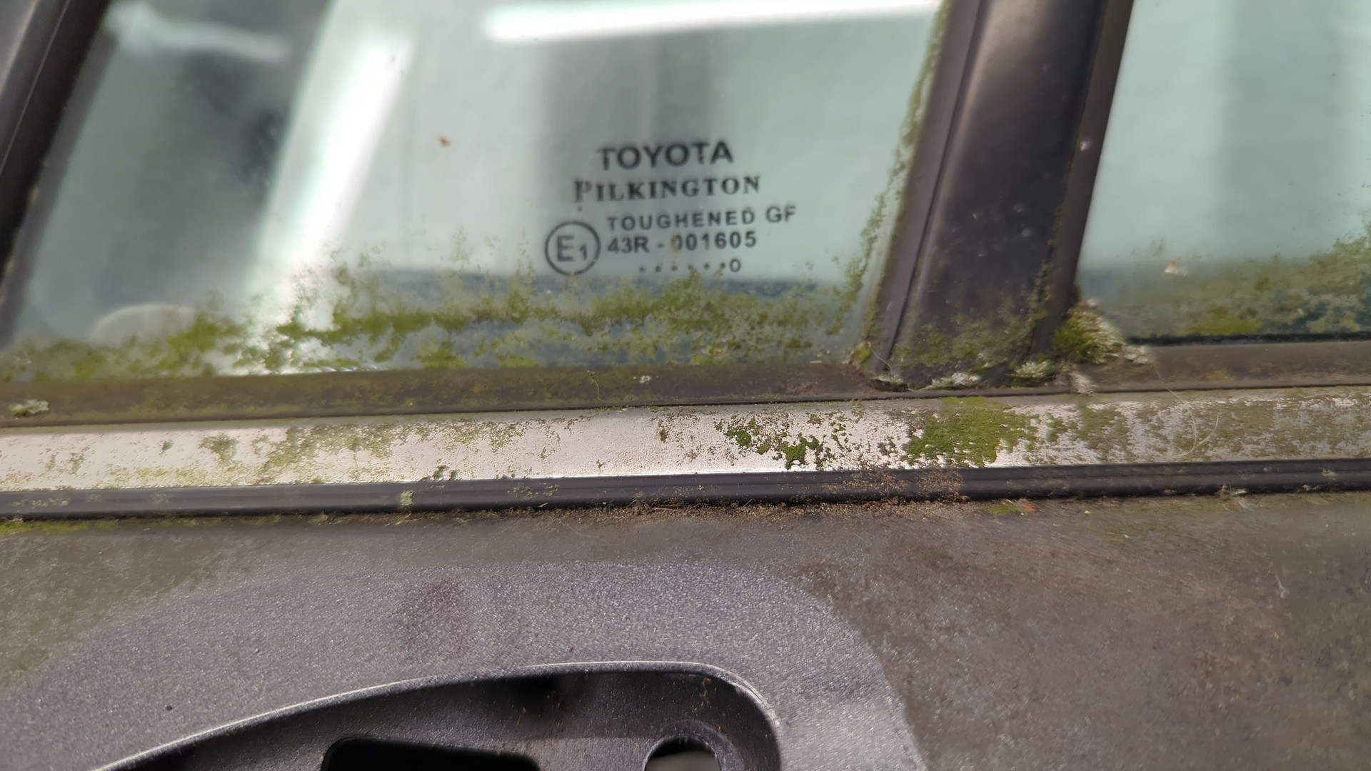 Дверь передняя левая