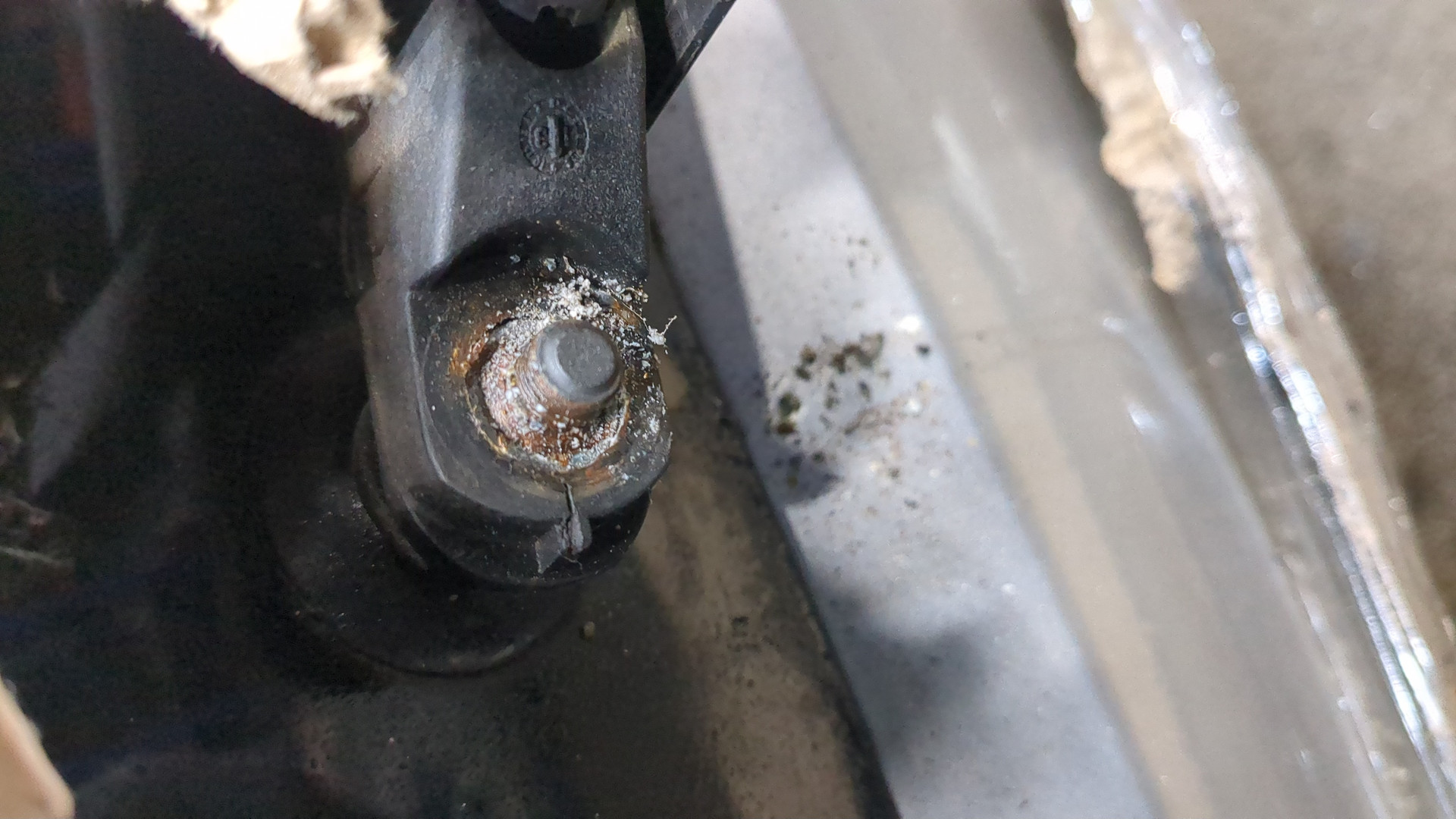 Дверь багажника