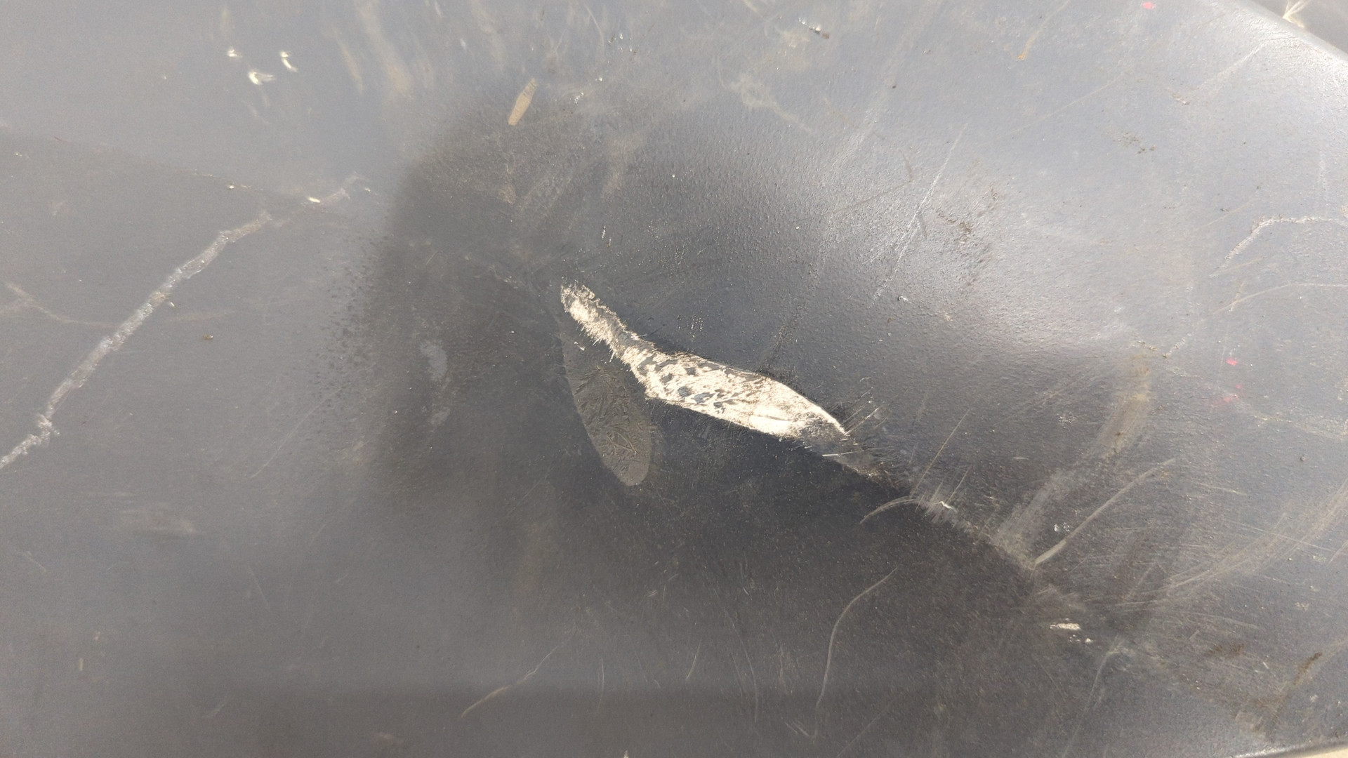 Крыло заднее левое