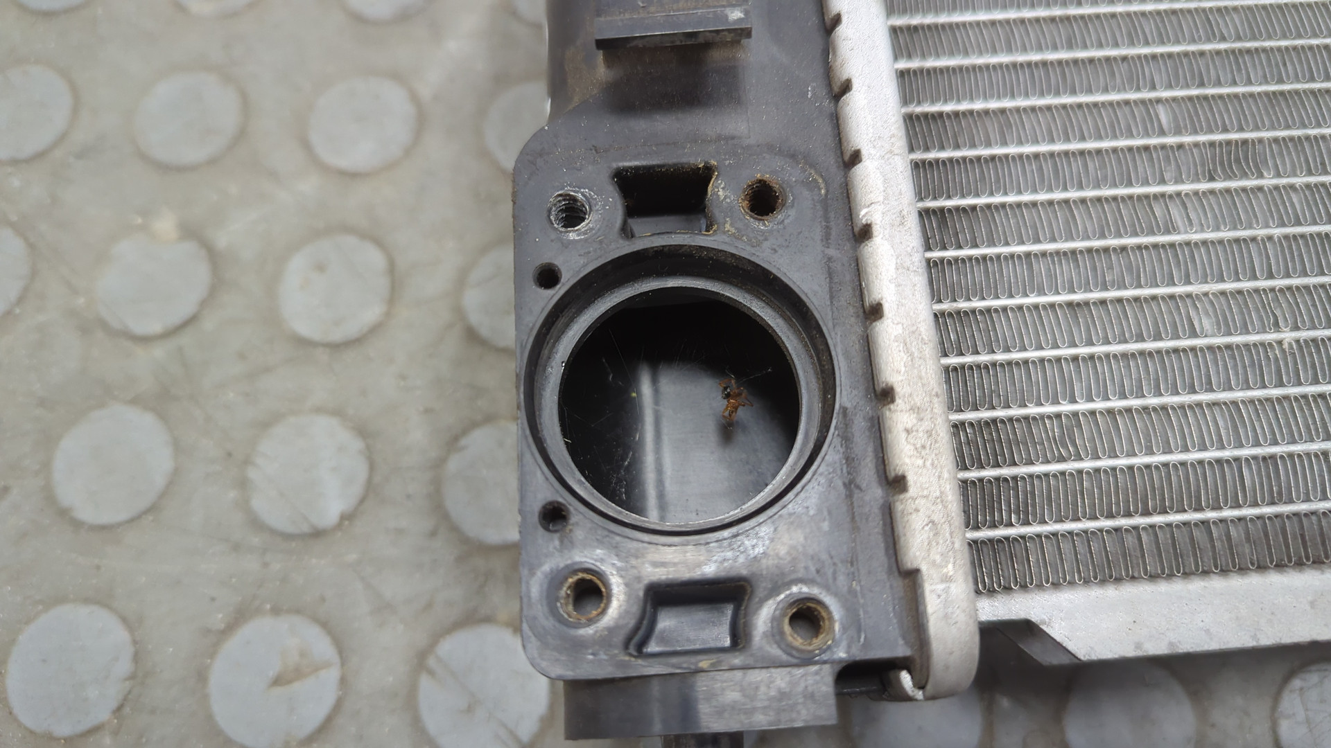 Радиатор охлаждения двигателя основной