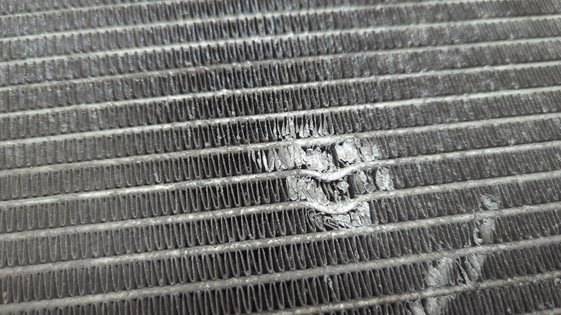 Радиатор охлаждения двигателя основной