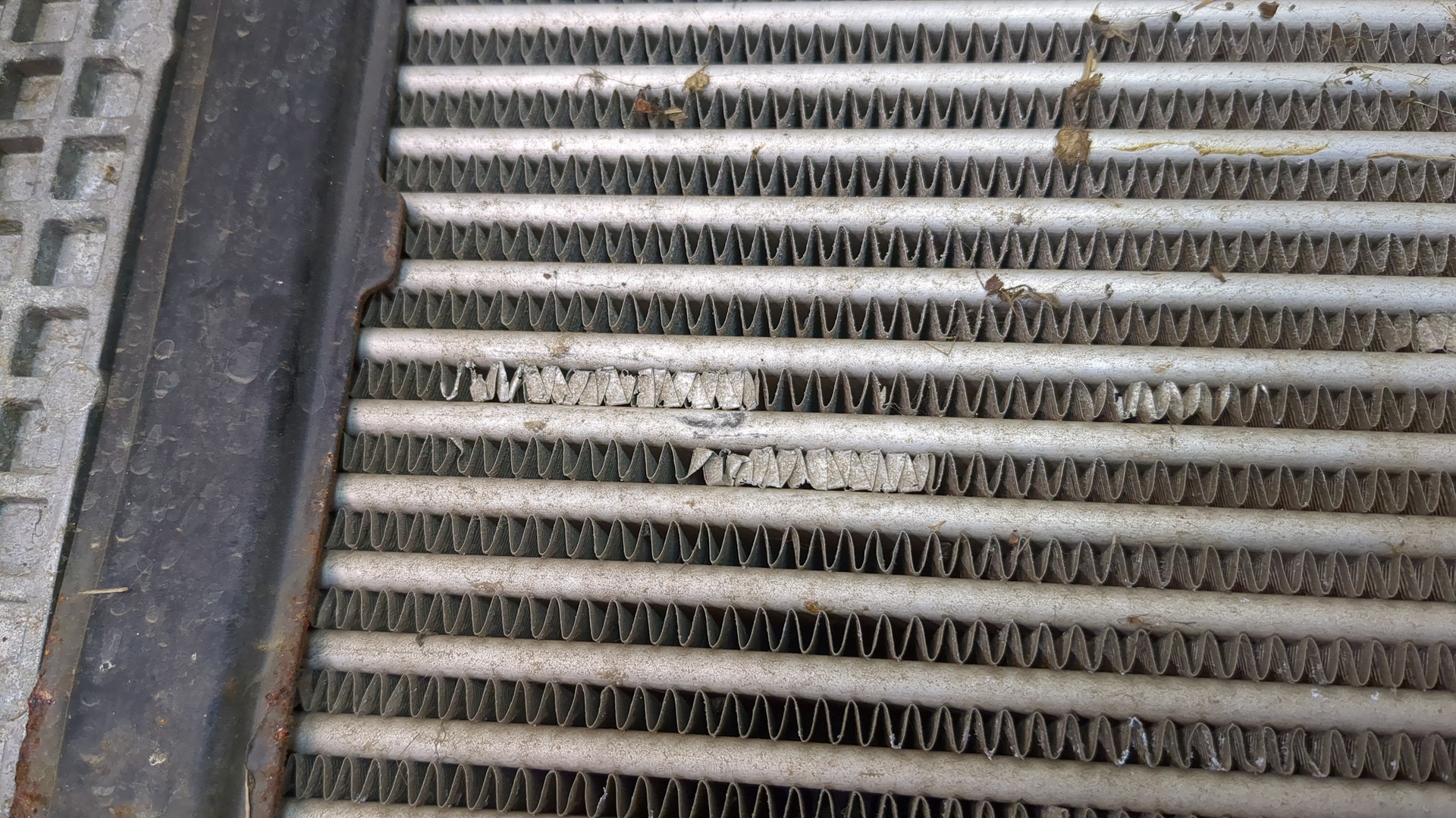 Интеркулер