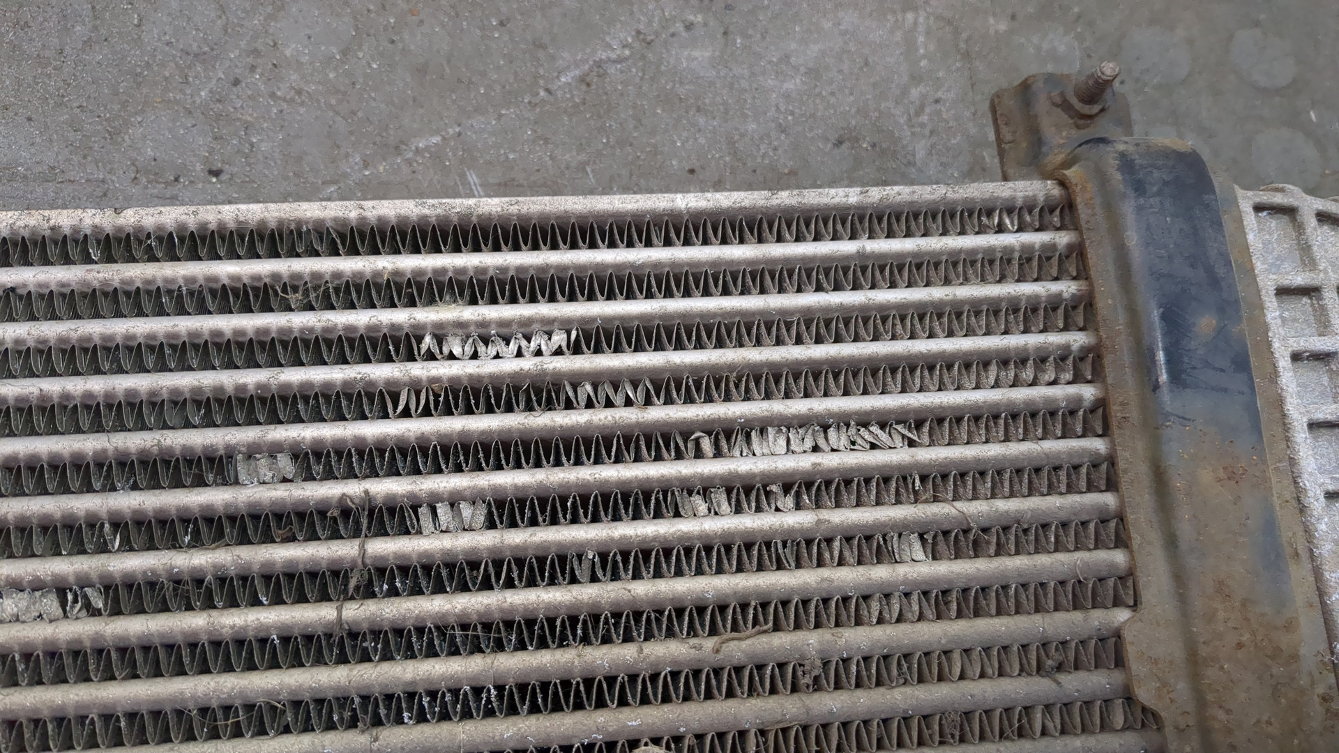 Интеркулер