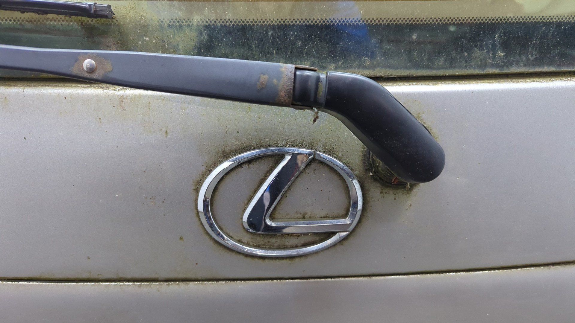 Дверь багажника