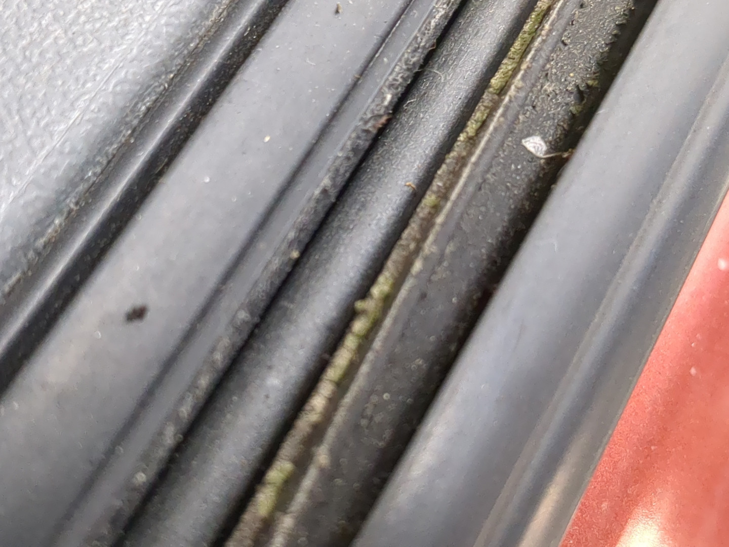 Дверь передняя левая