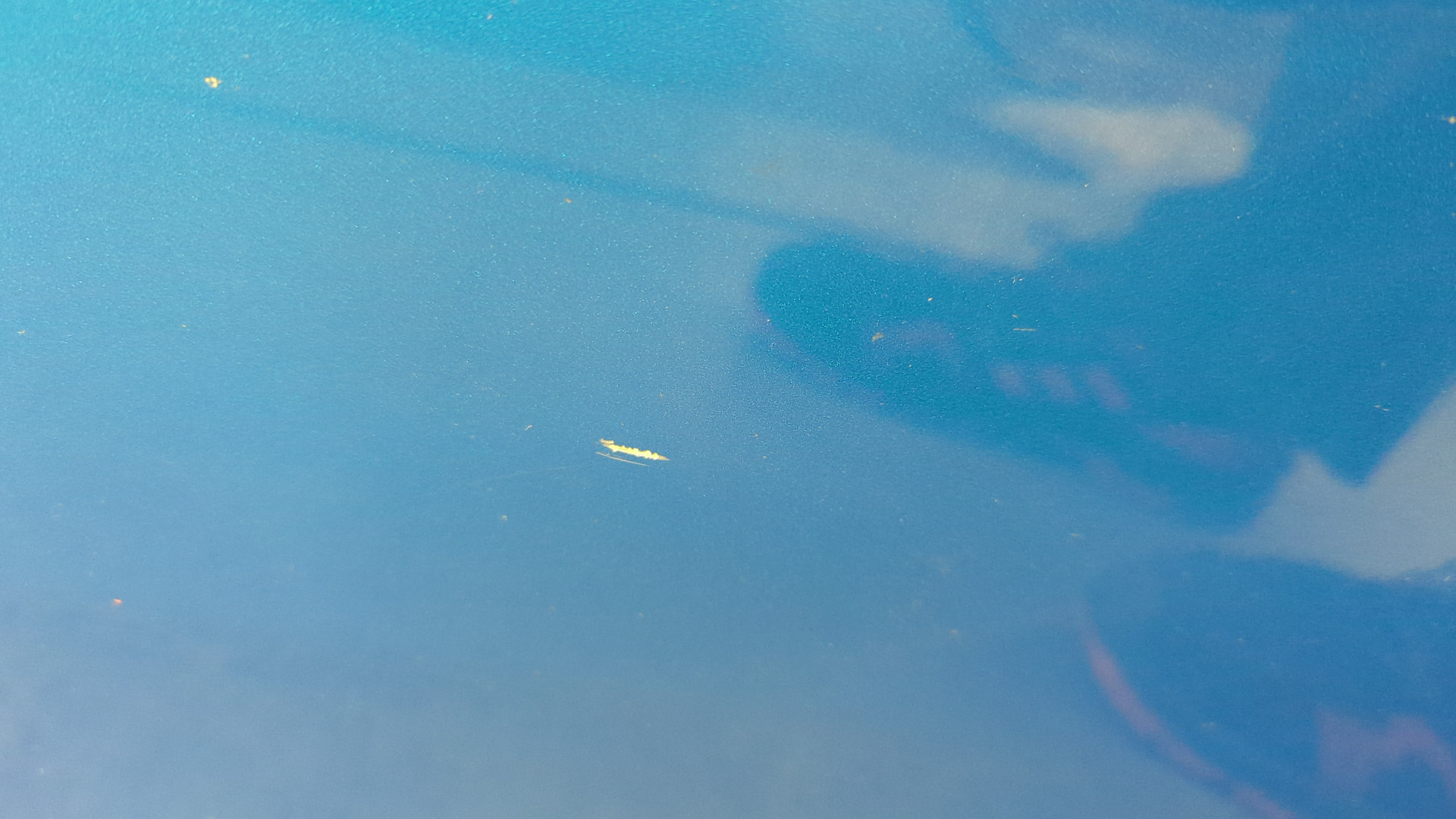 Дверь задняя левая