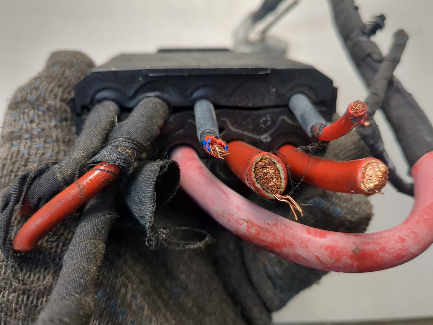 Блок предохранителей