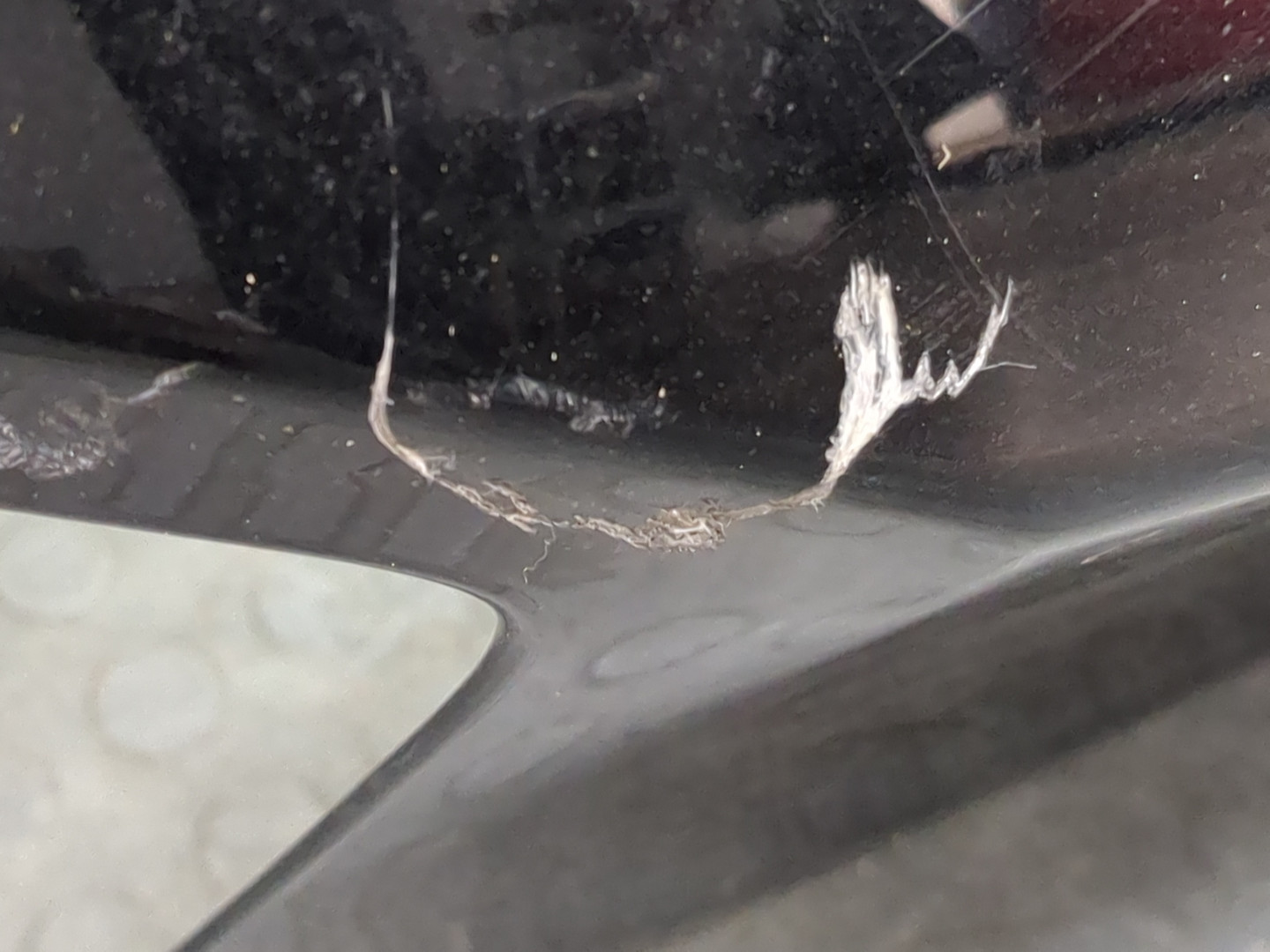 Дверь багажника