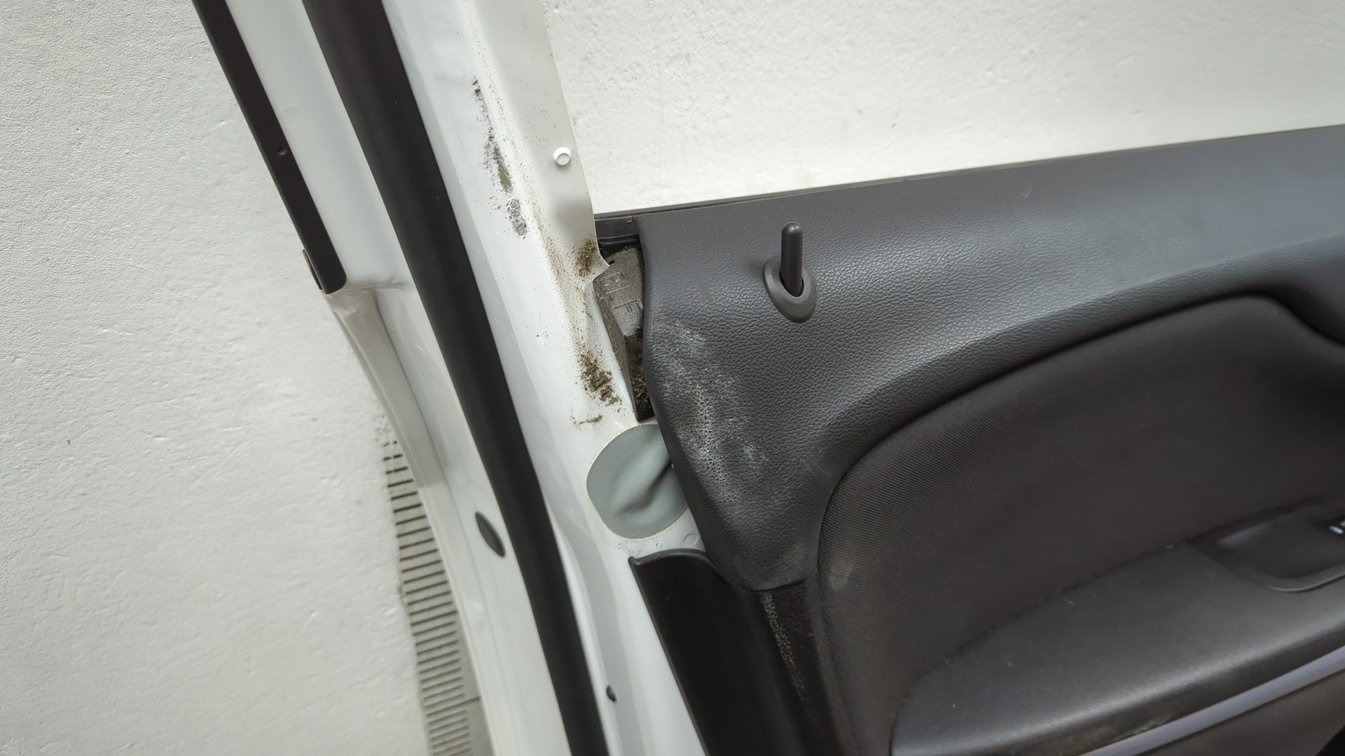 Дверь передняя левая