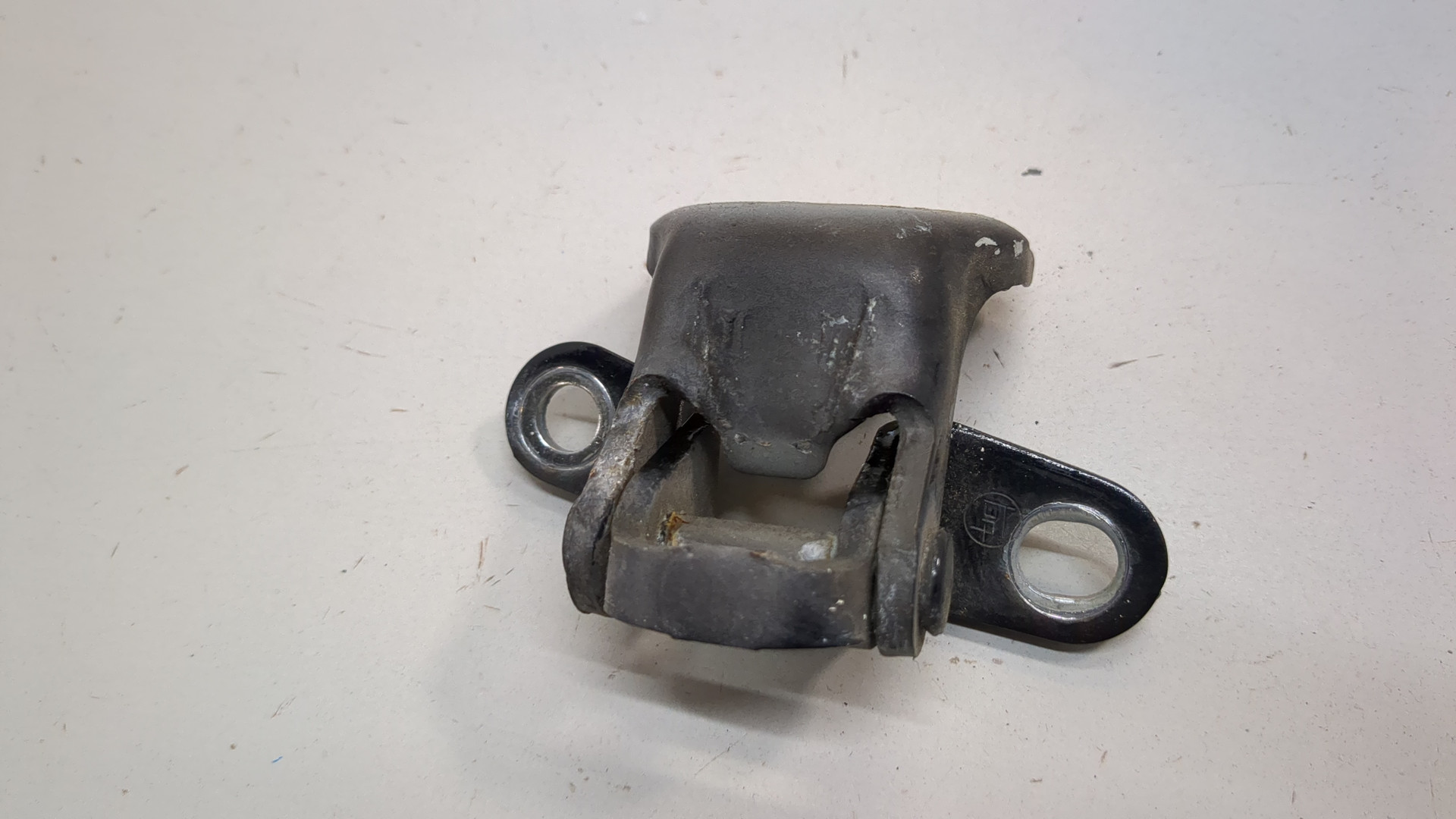 Петля двери задней