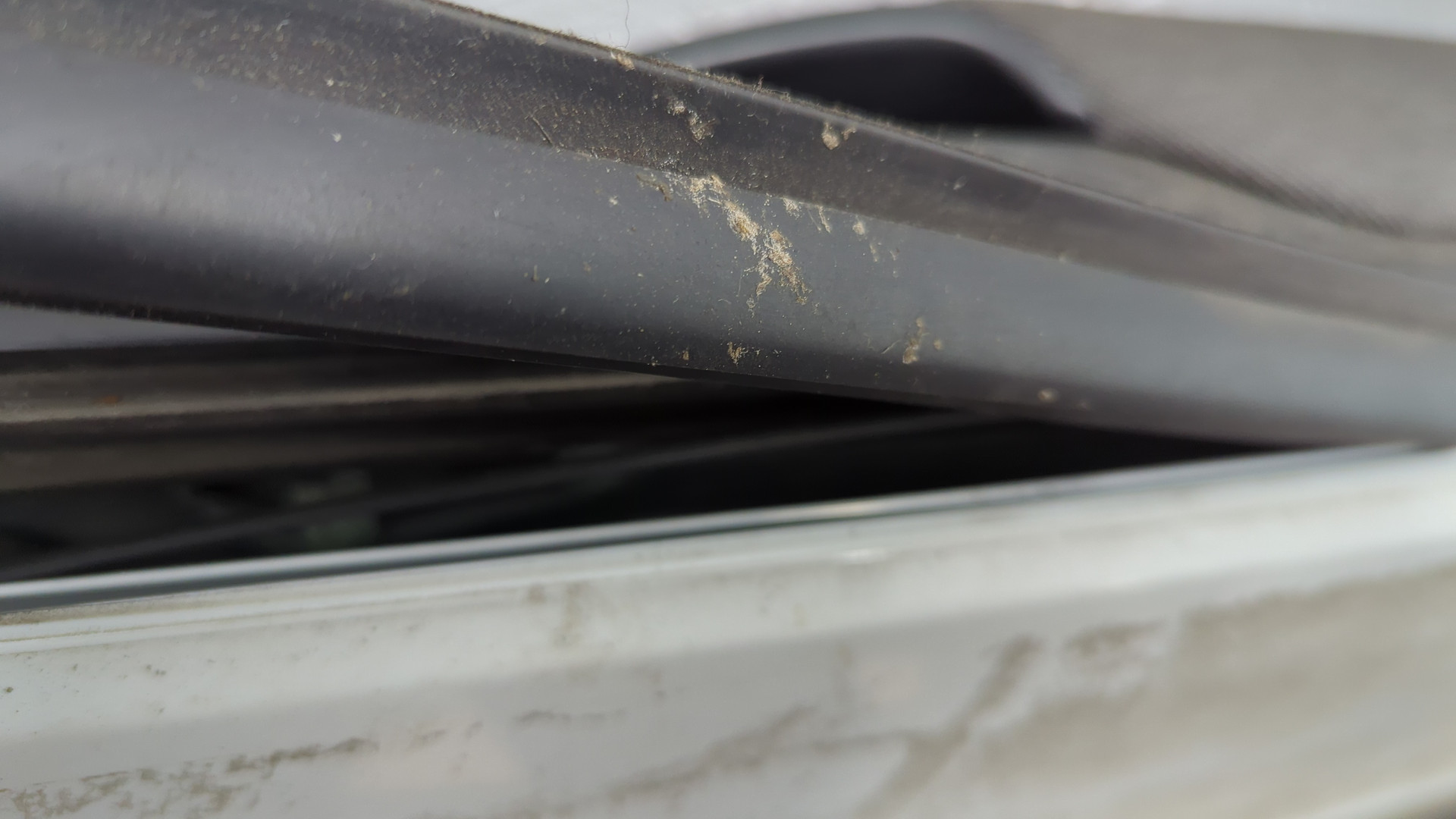 Дверь передняя левая