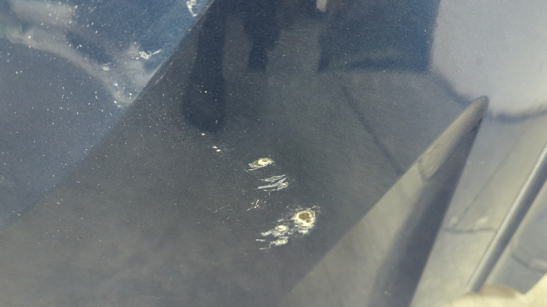 Крыло переднее левое