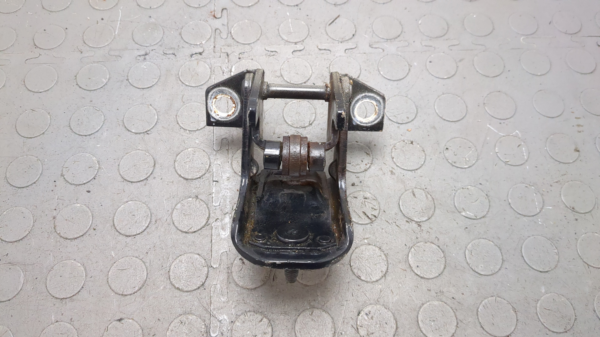 Петля двери задней