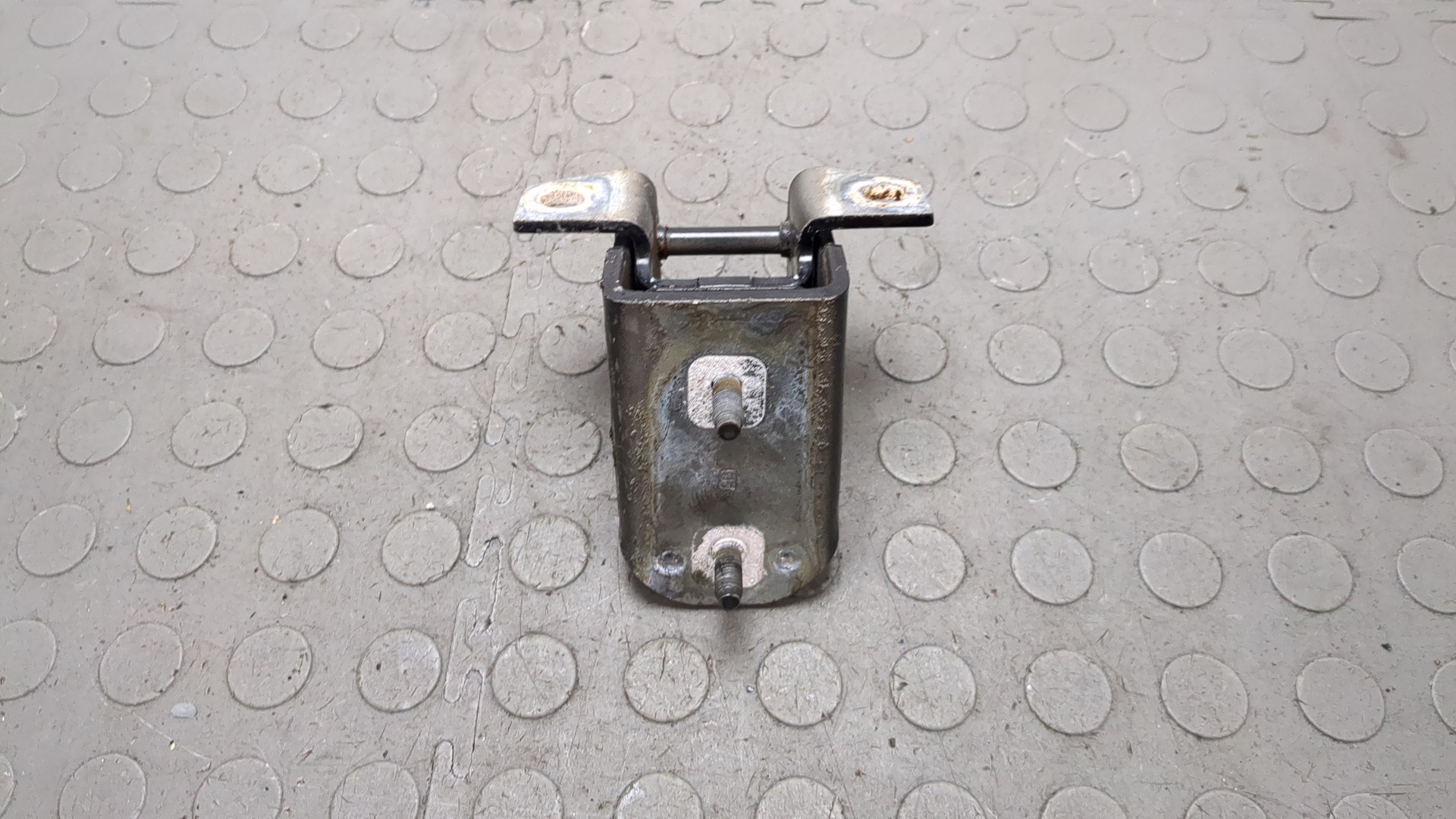 Петля двери задней