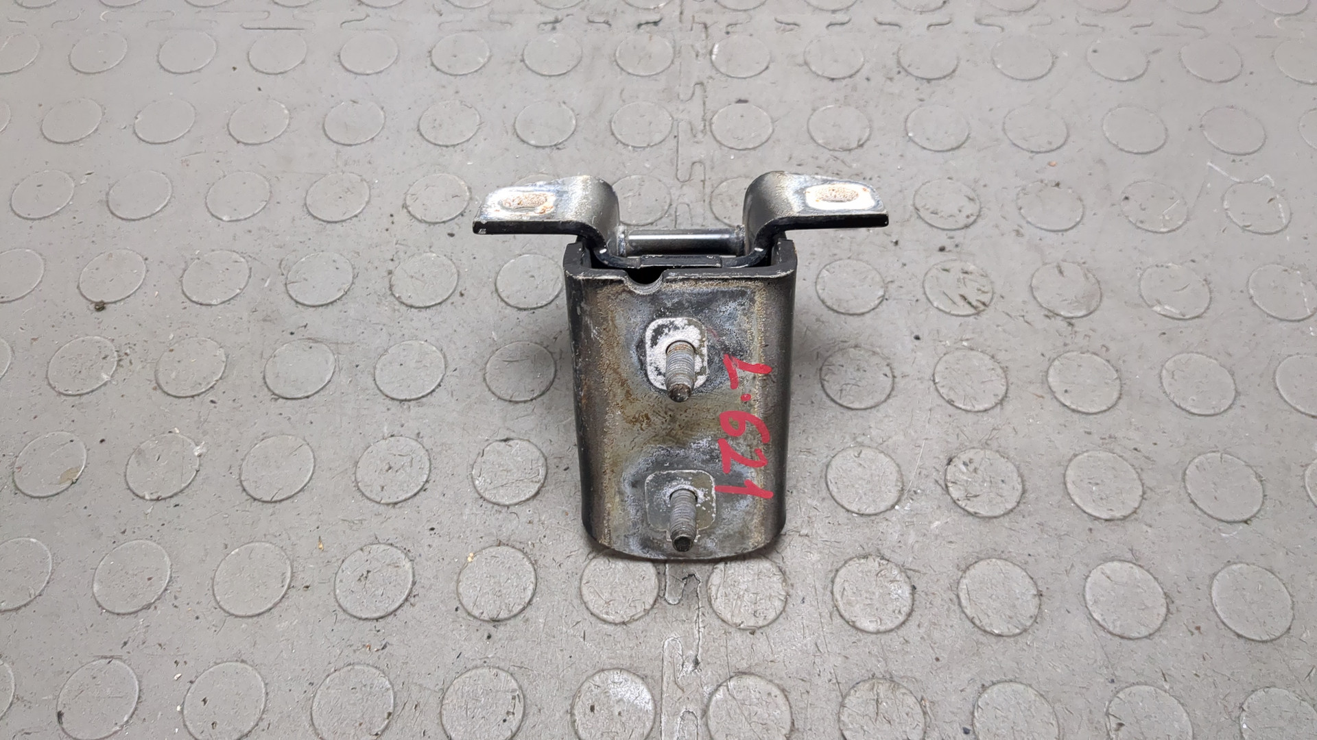 Петля двери задней