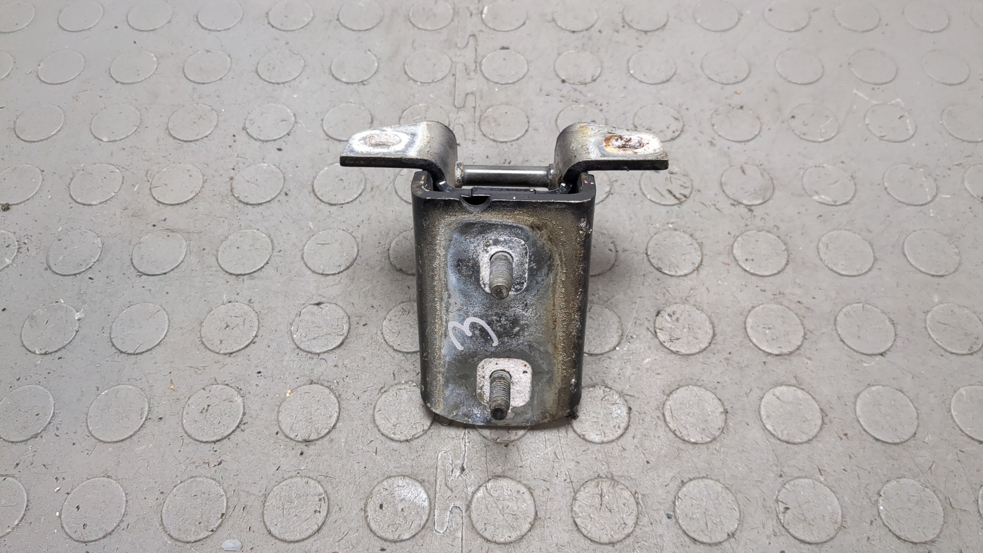 Петля двери задней