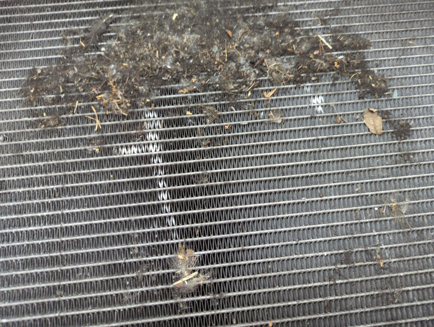 Радиатор охлаждения двигателя основной