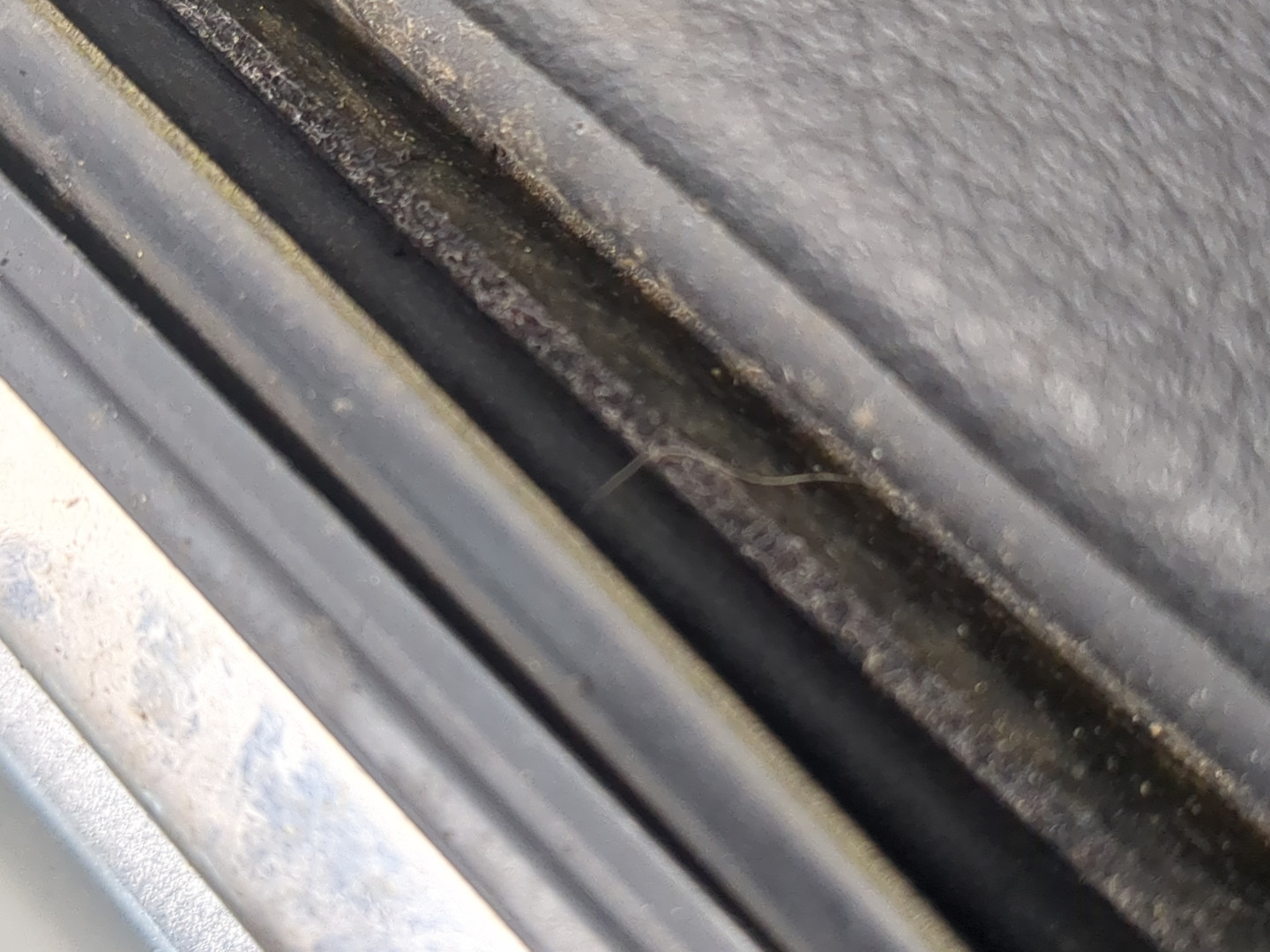 Дверь задняя левая