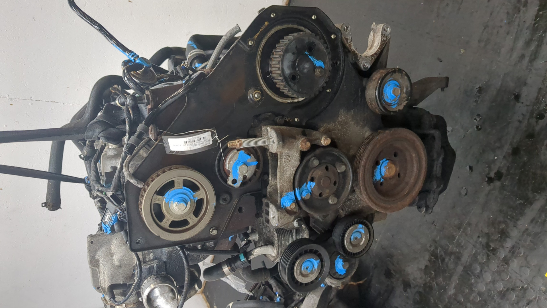 AP-0016964455 AP-0016964455