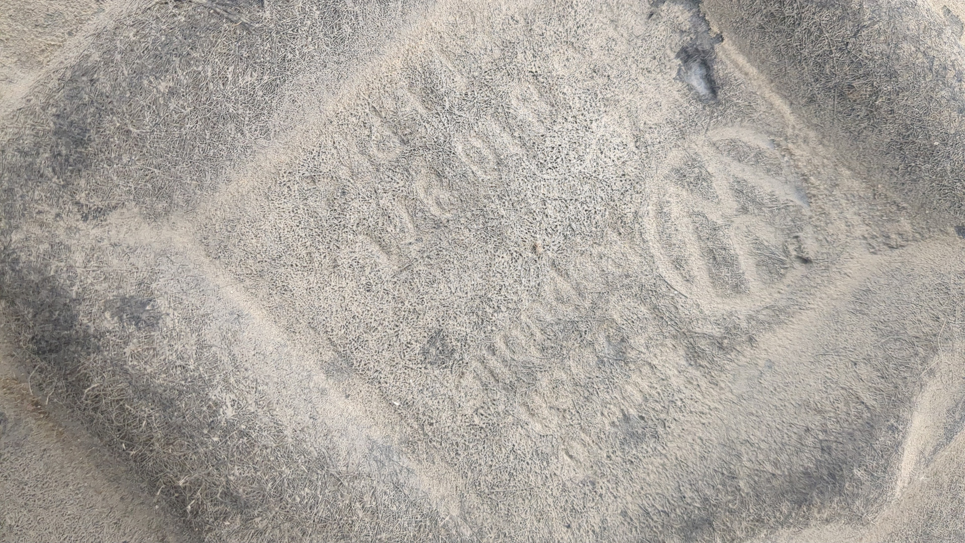 Локер задний левый