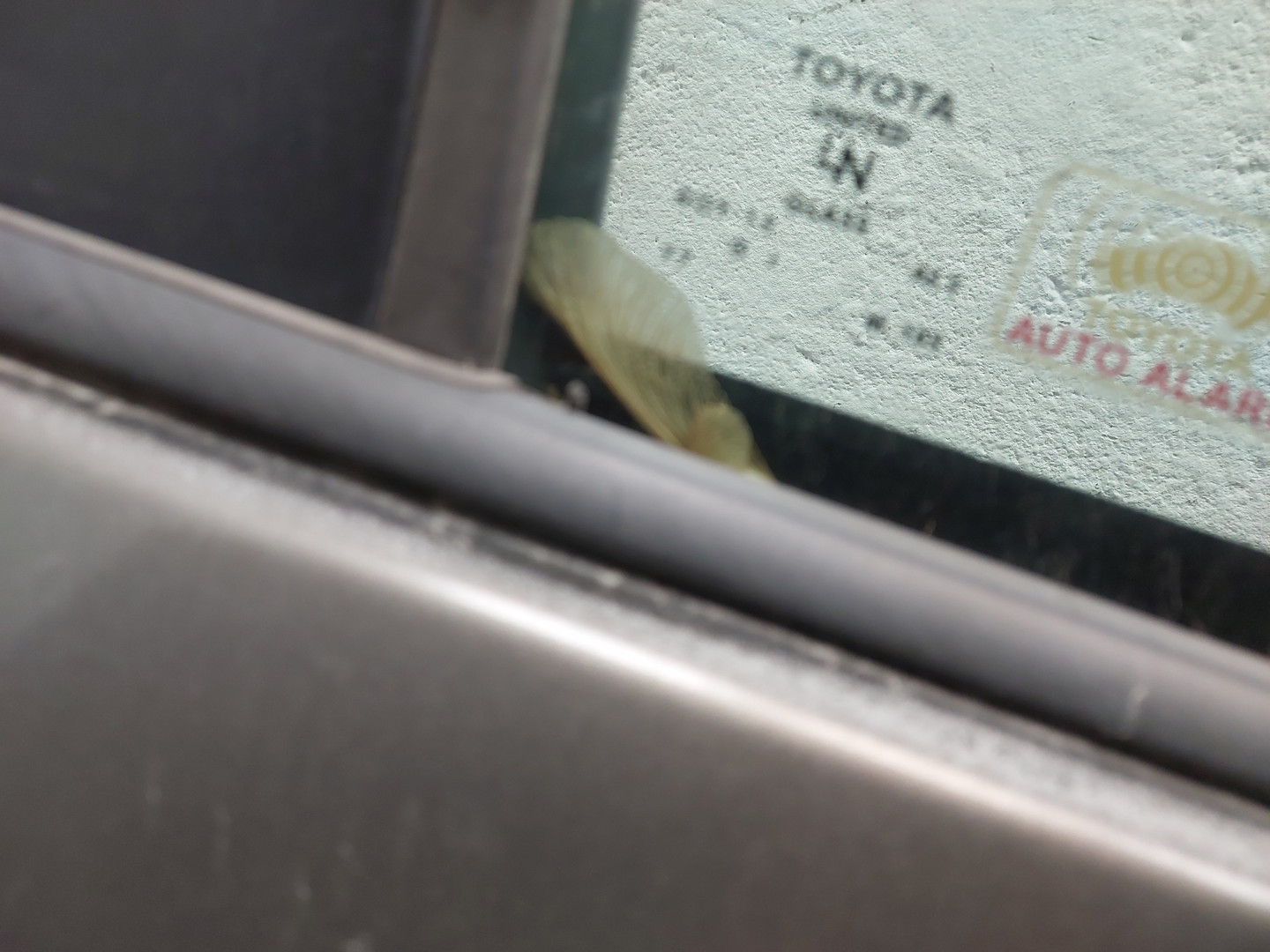 Дверь передняя правая