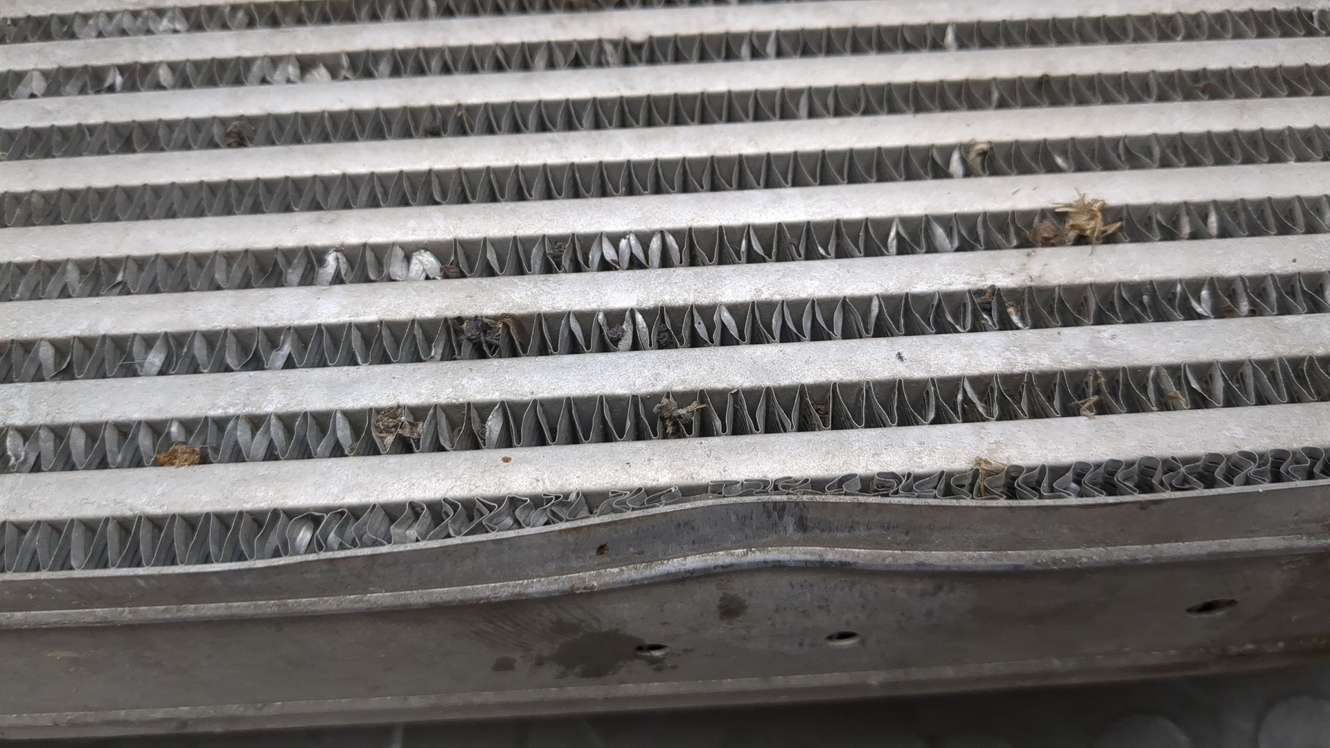 Интеркулер