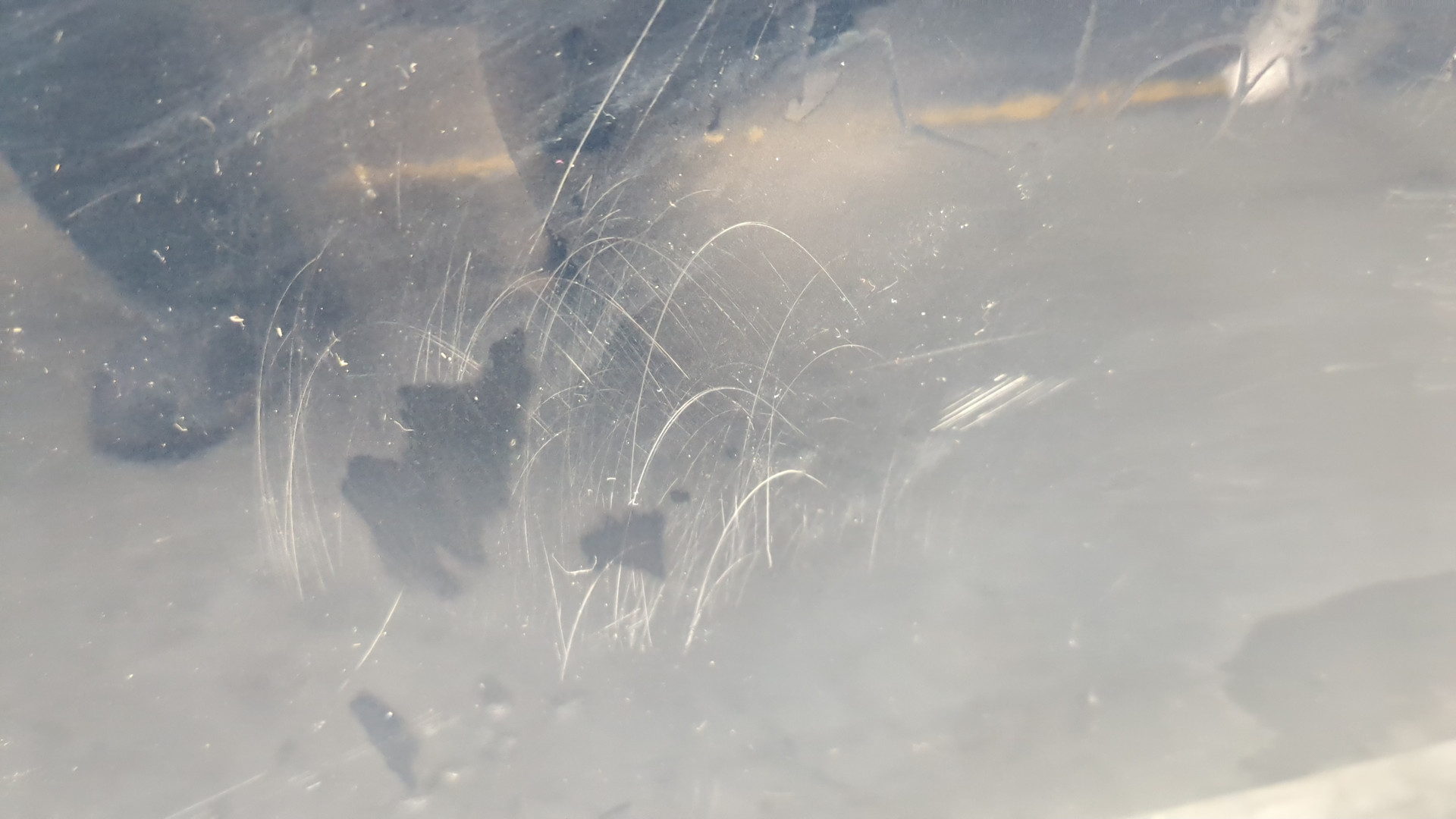 Дверь передняя правая