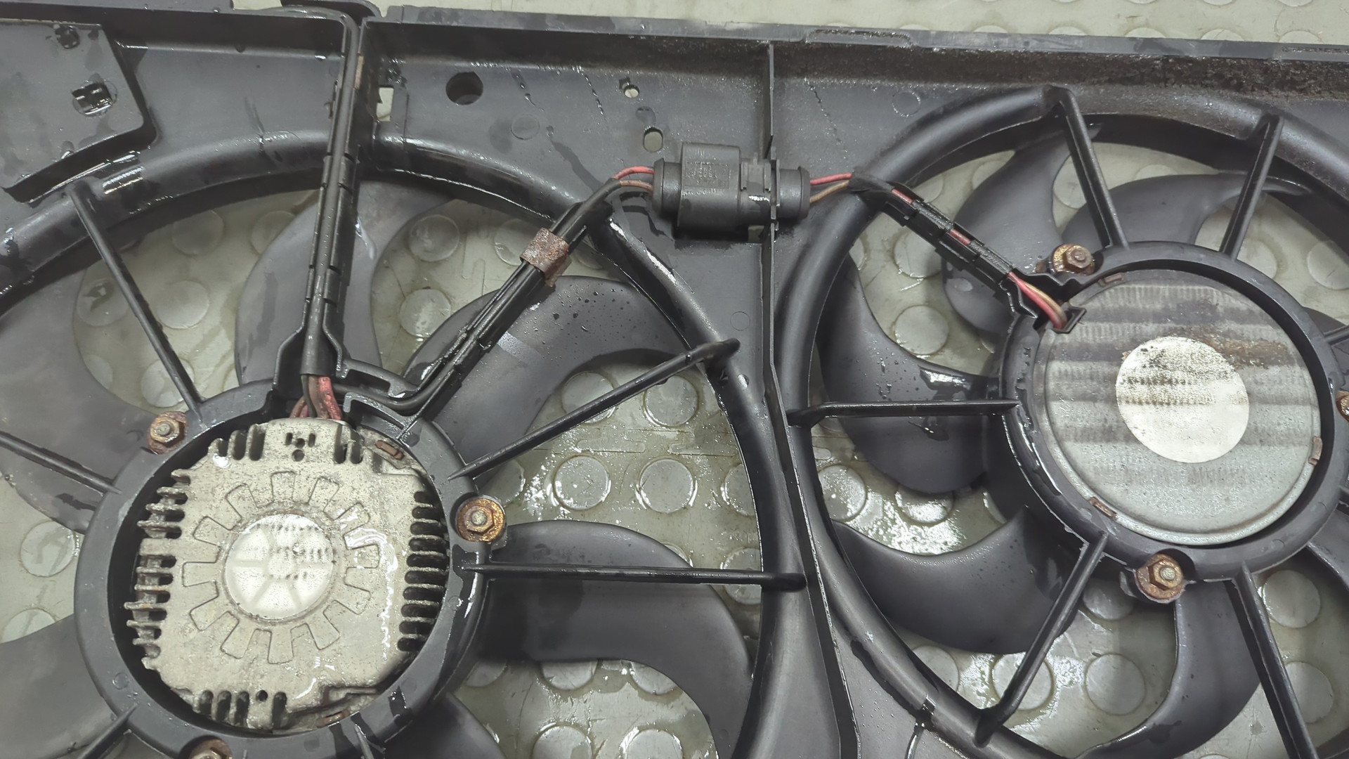 Вентилятор радиатора