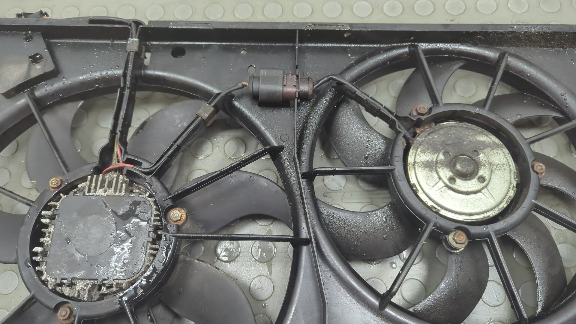 Вентилятор радиатора