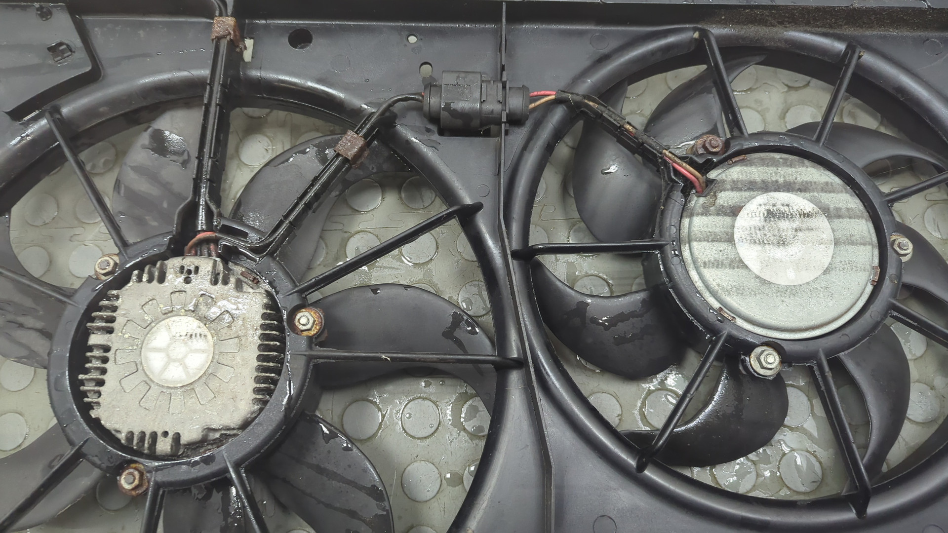 Вентилятор радиатора