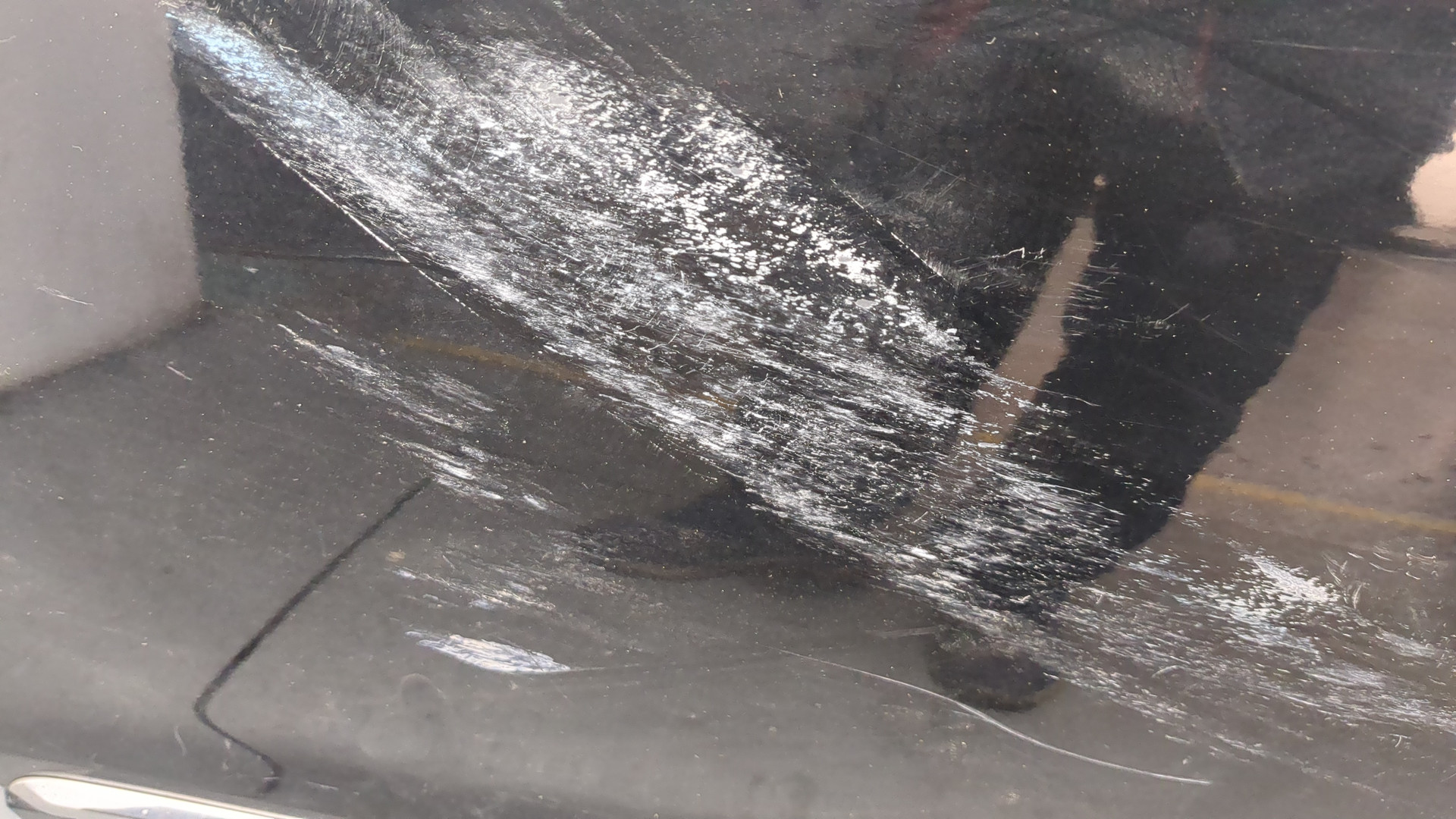 Дверь передняя левая