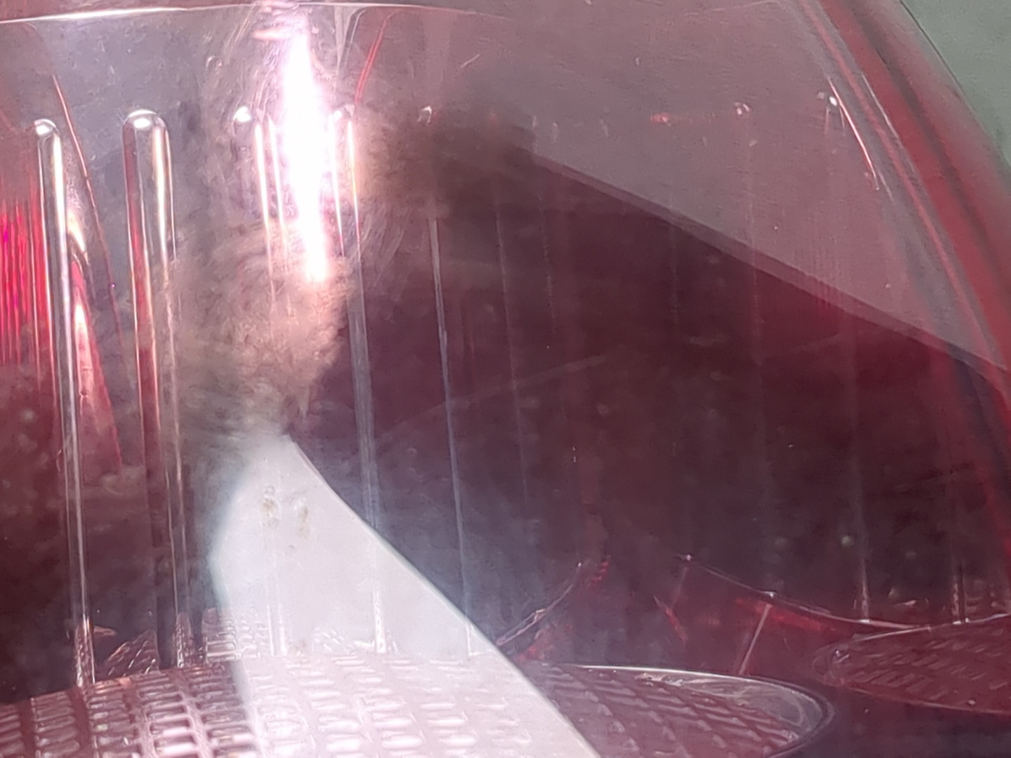 Фонарь задний левый