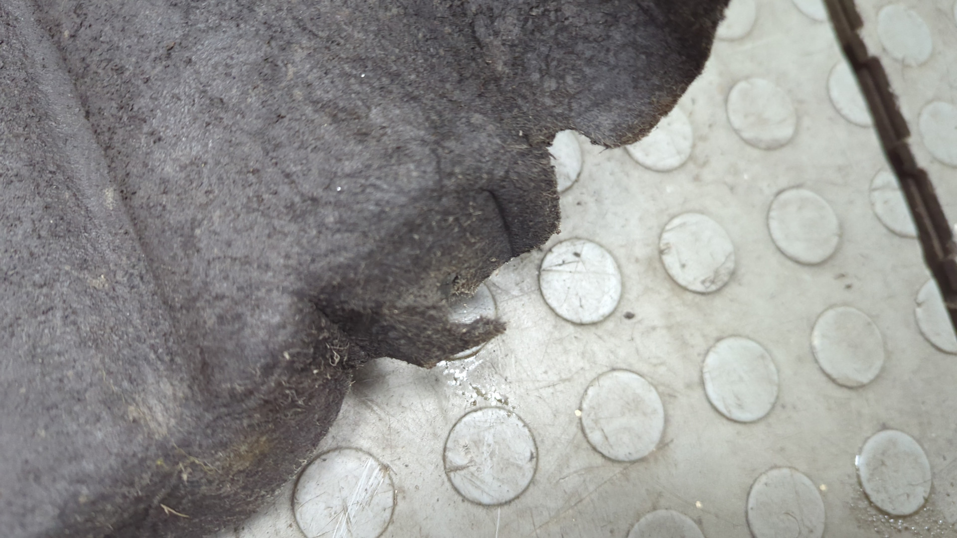 Локер передний правый