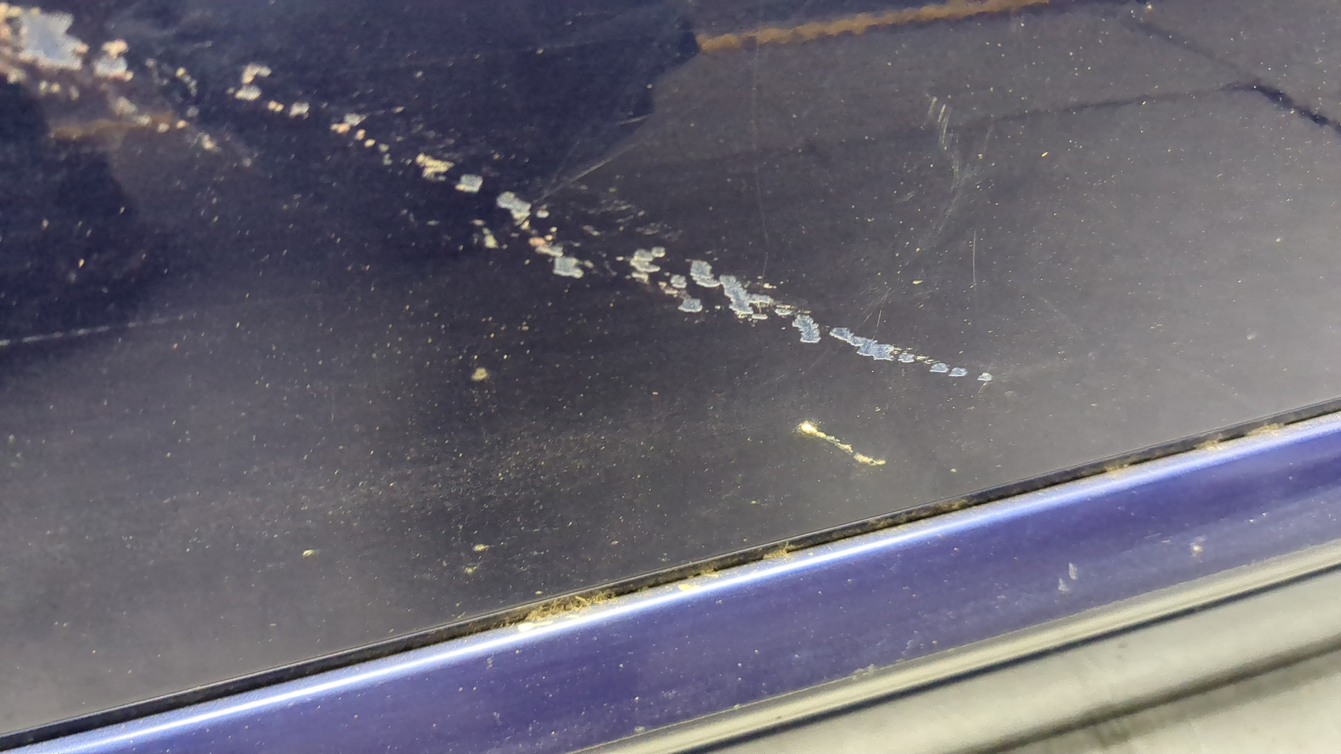 Дверь передняя левая