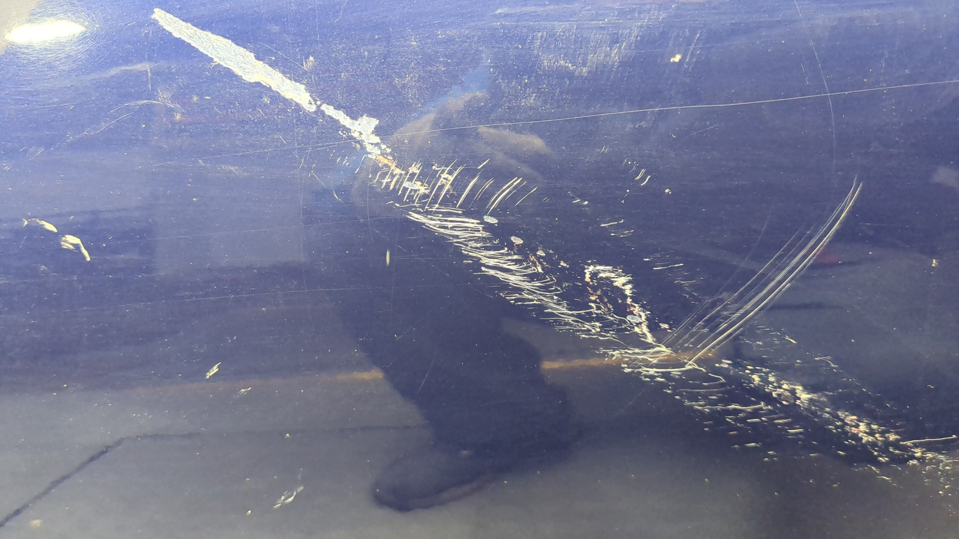 Дверь передняя левая