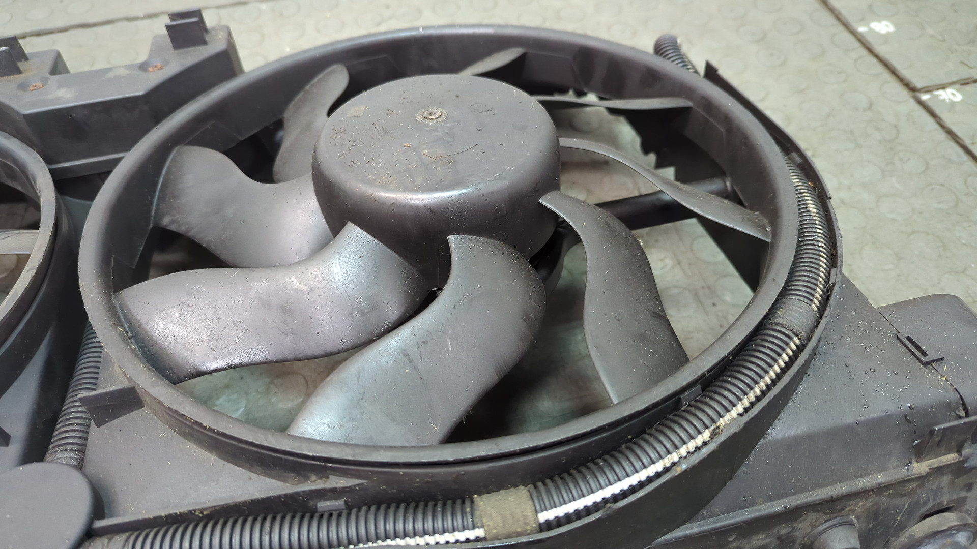 Вентилятор радиатора