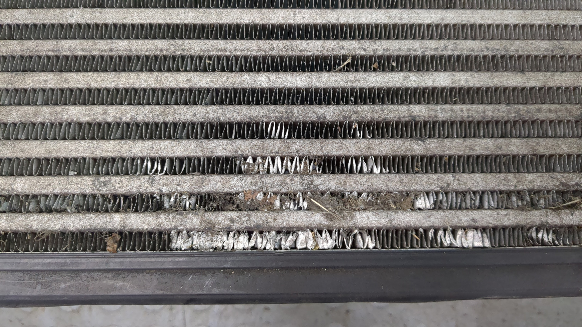 Интеркулер