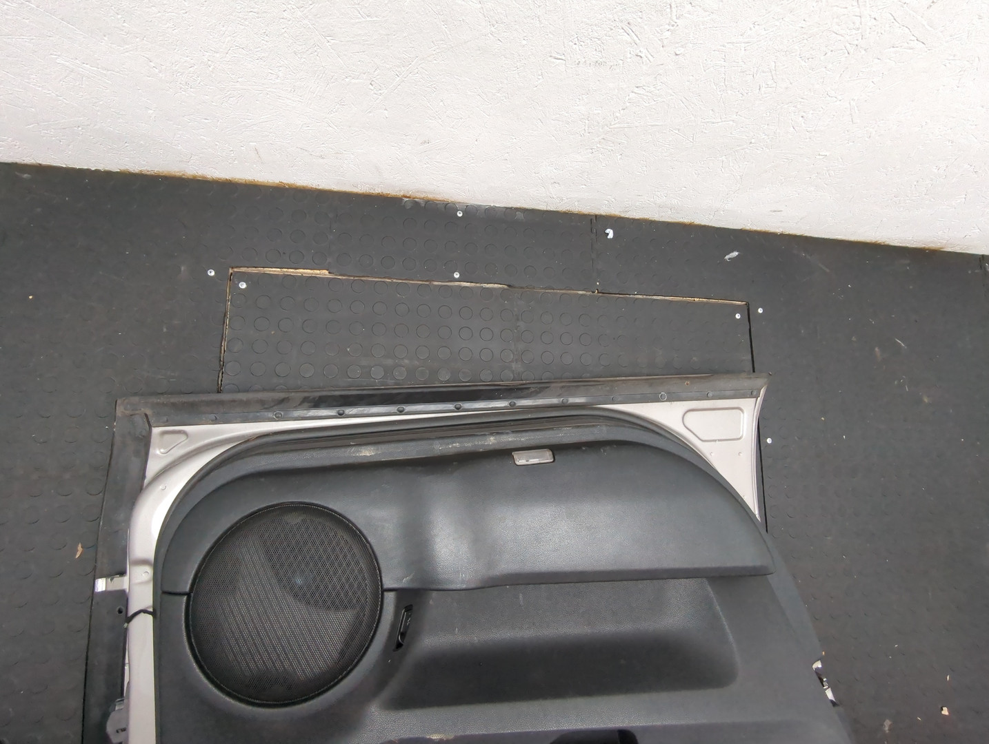 Дверь передняя левая