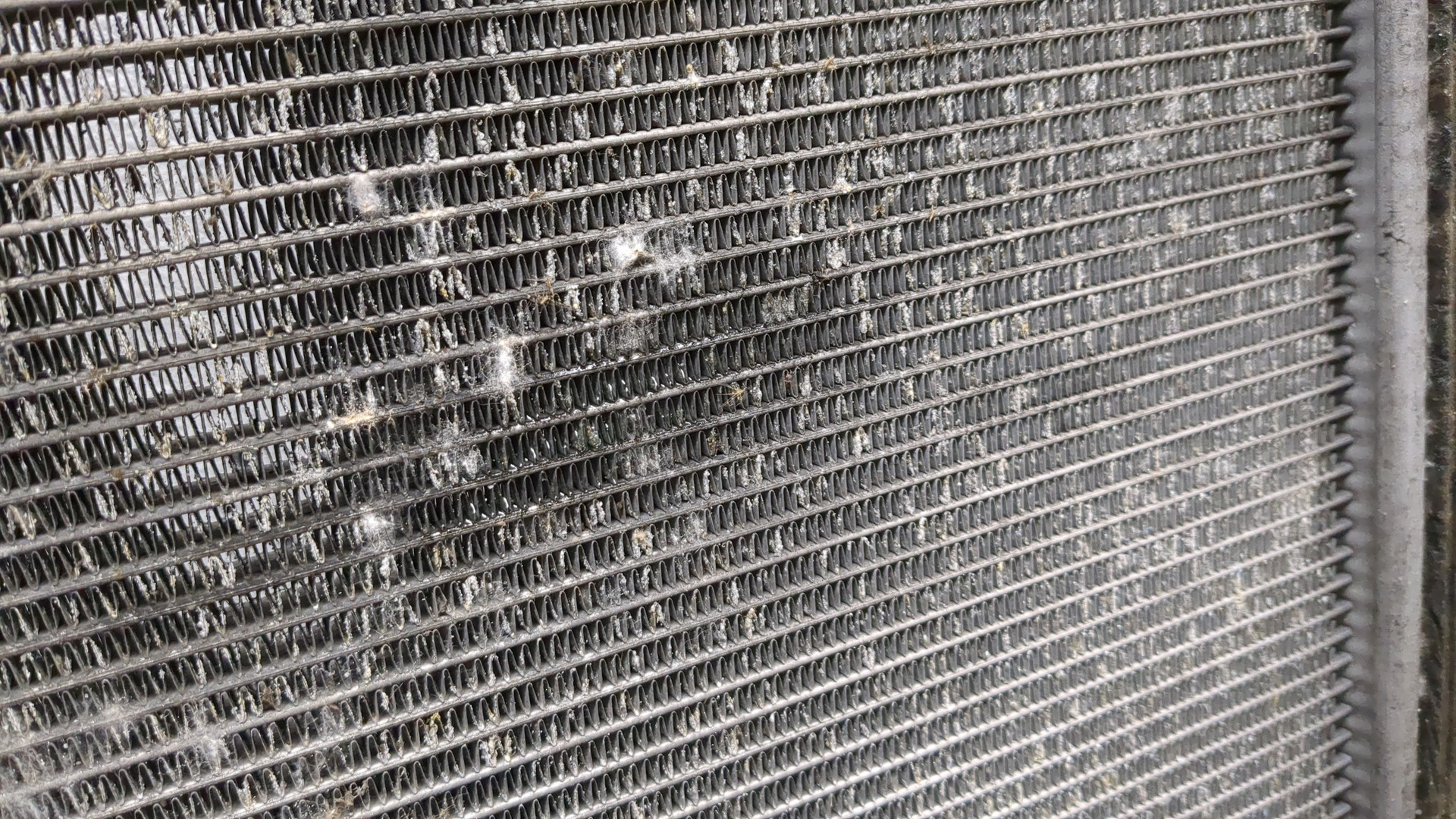 Радиатор охлаждения двигателя основной