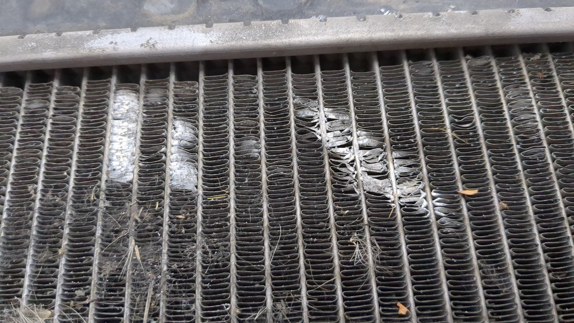 Радиатор охлаждения двигателя основной