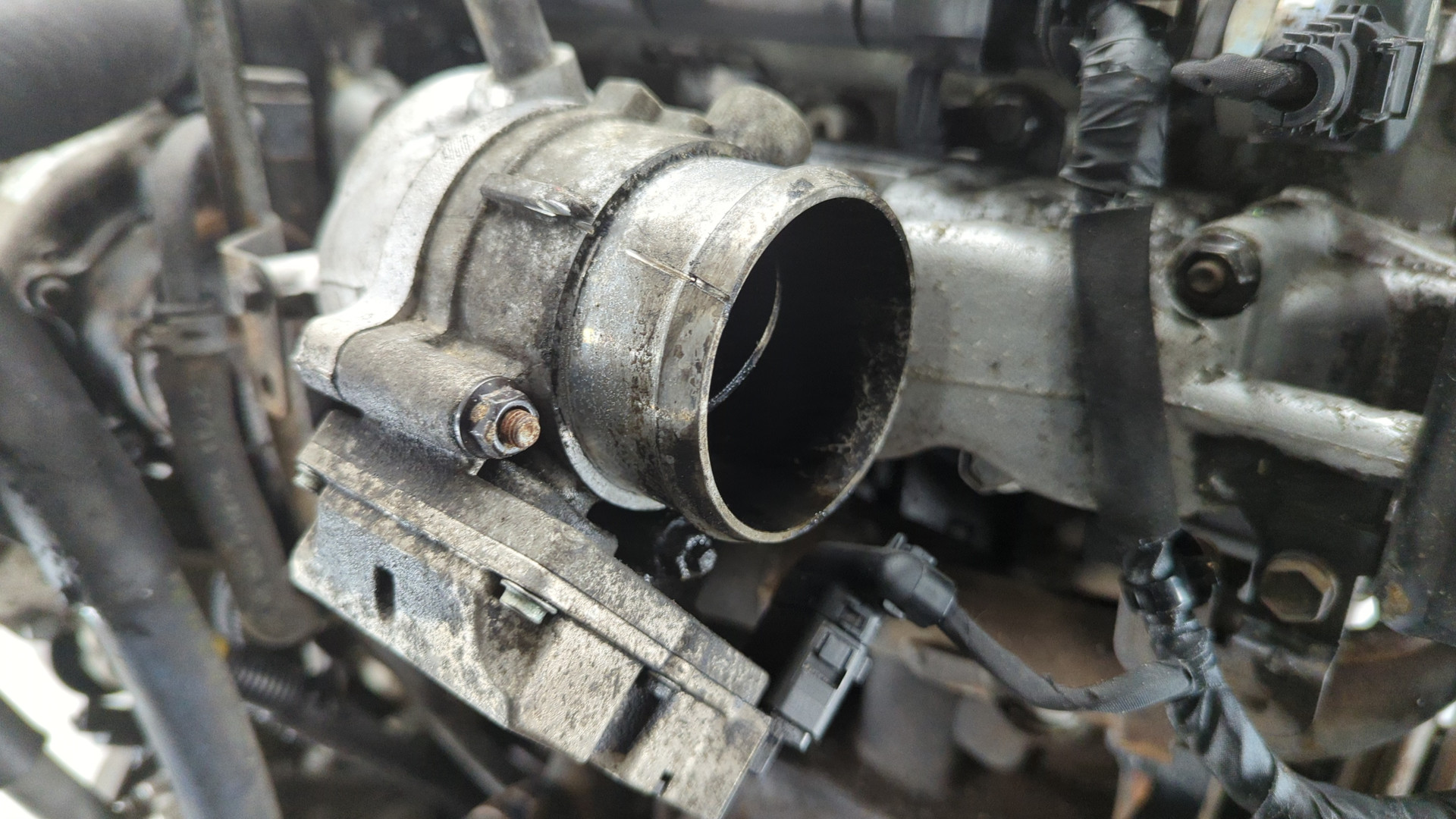 AP-0017002277 AP-0017002277