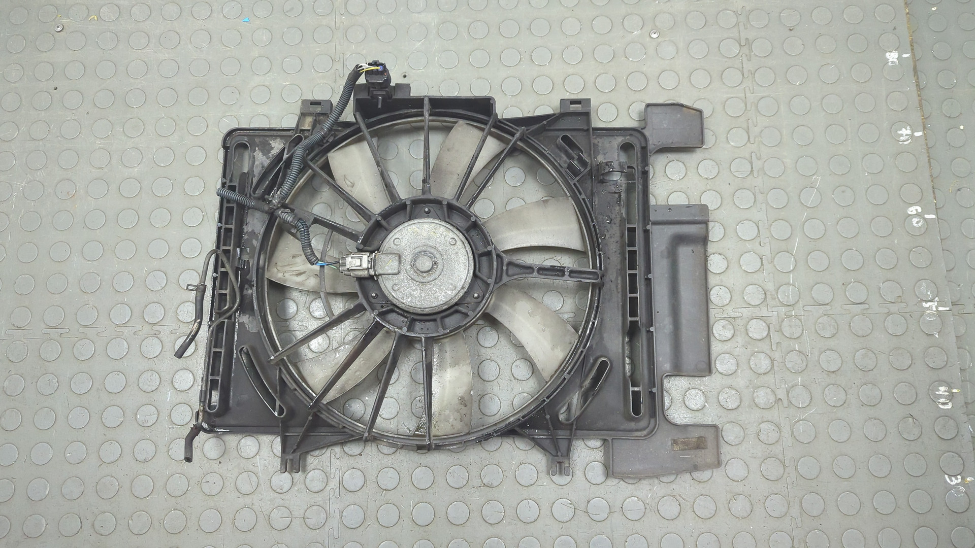 Вентилятор радиатора